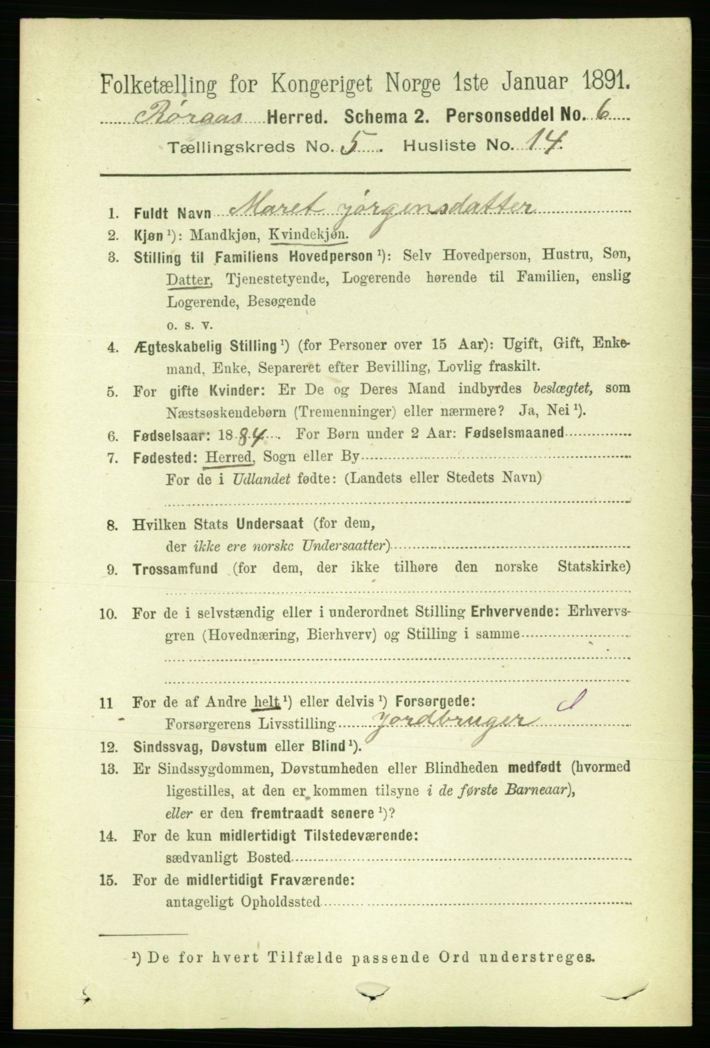 RA, 1891 census for 1640 Røros, 1891, p. 1100