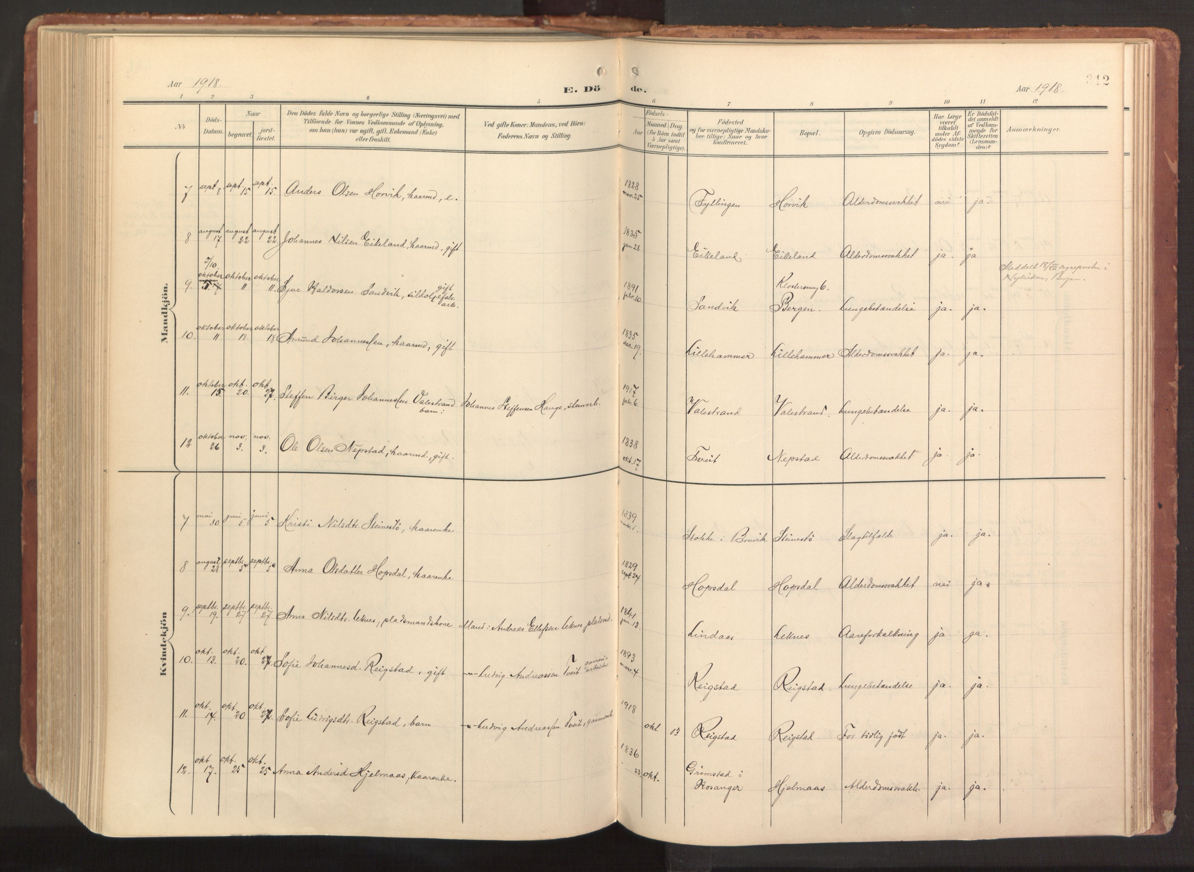 Hamre sokneprestembete, AV/SAB-A-75501/H/Ha/Haa/Haab/L0002: Parish register (official) no. B 2, 1905-1924, p. 312