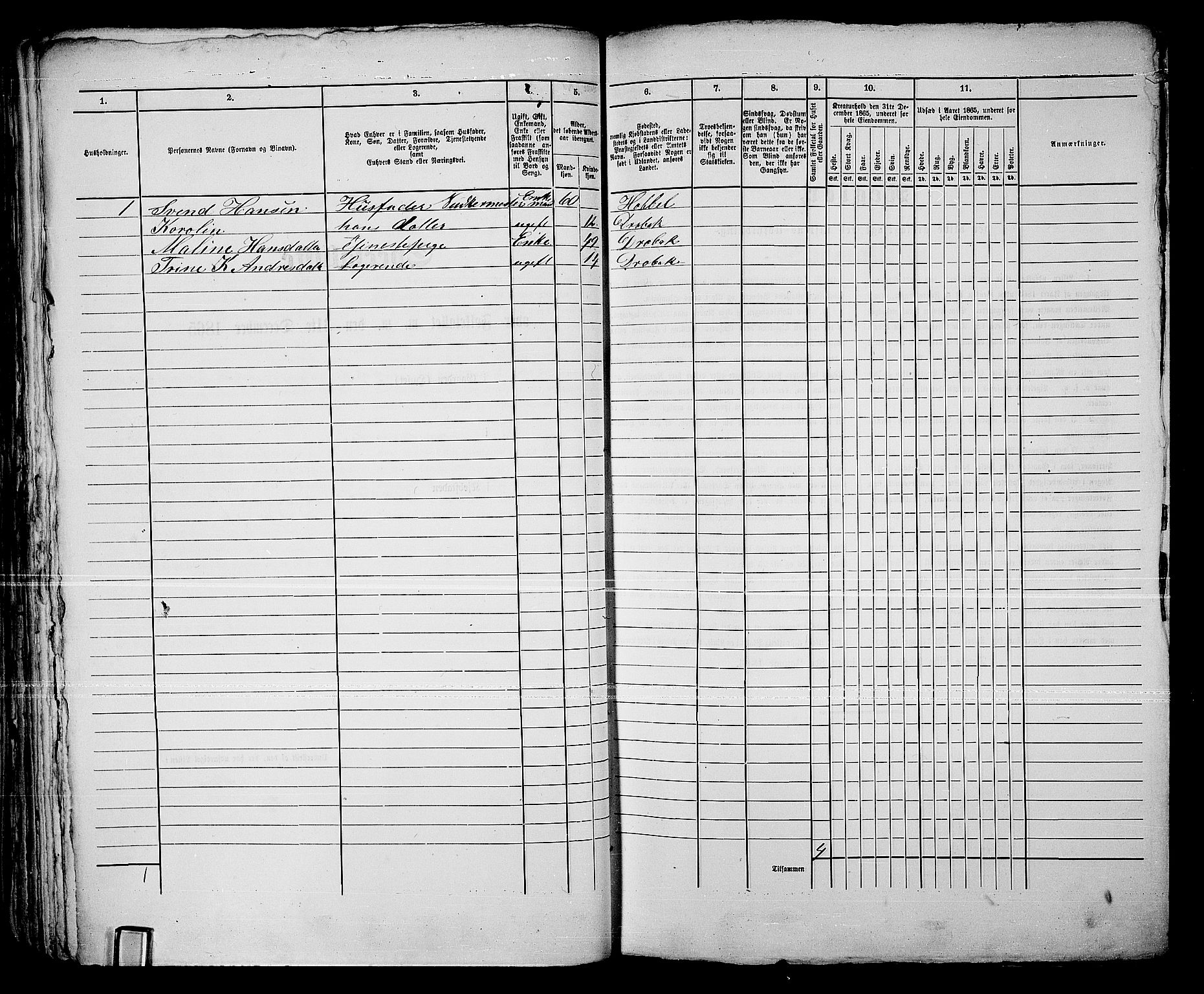 RA, 1865 census for Drøbak/Drøbak, 1865, p. 89