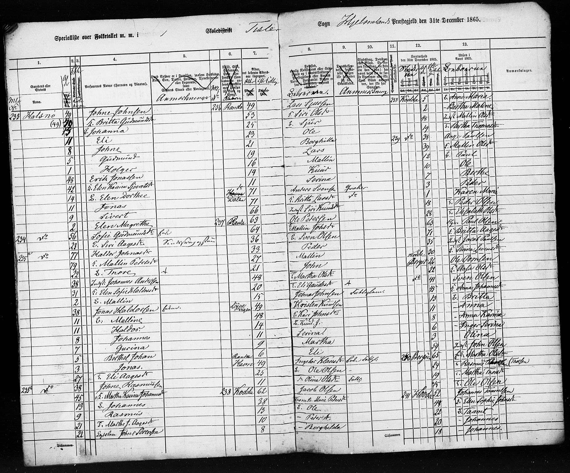 SAST, Census 1865 (copy) for Hjelmeland, 1865, p. 9