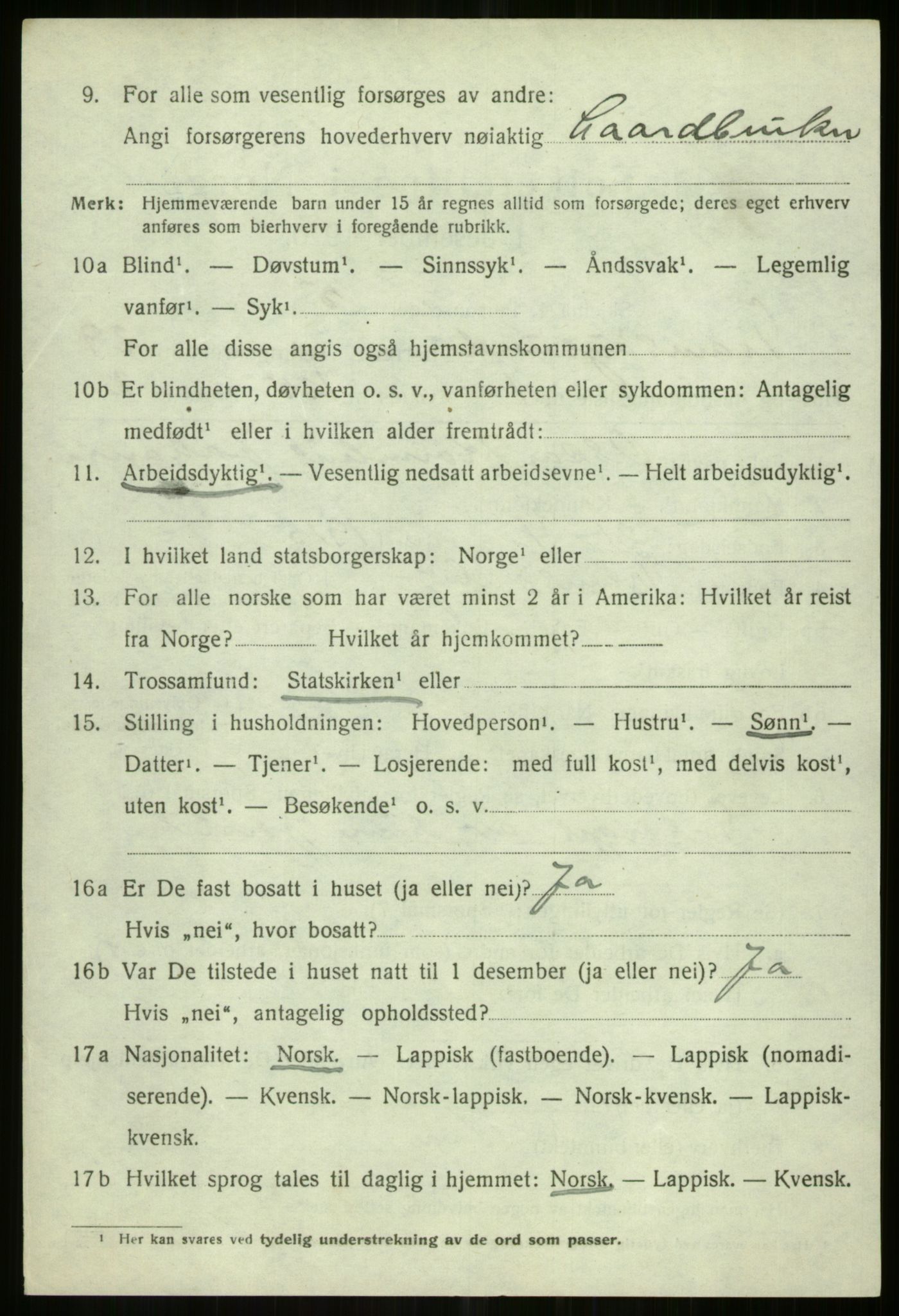 SATØ, 1920 census for Tromsøysund, 1920, p. 13239