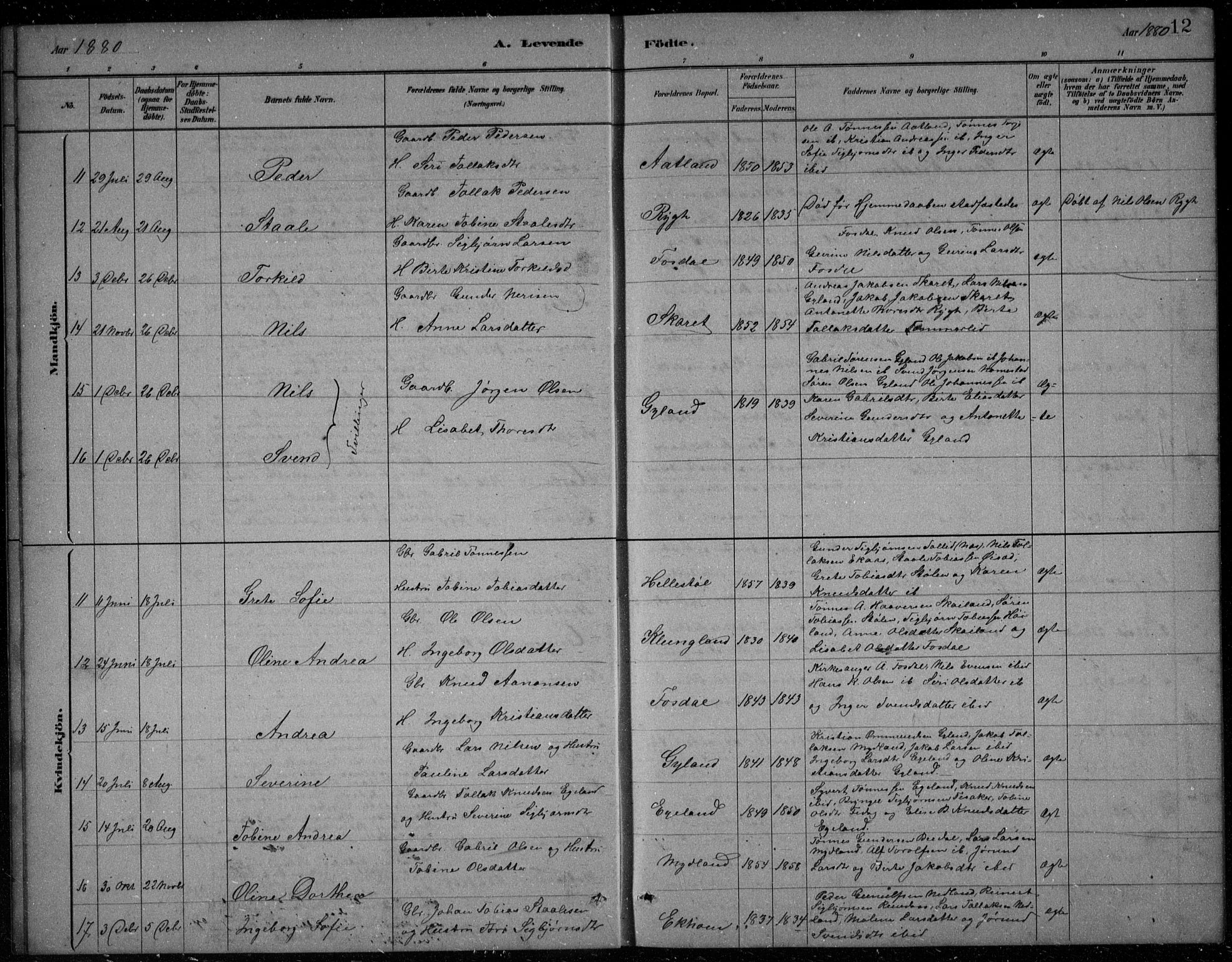 Bakke sokneprestkontor, AV/SAK-1111-0002/F/Fb/Fbb/L0003: Parish register (copy) no. B 3, 1878-1896, p. 12