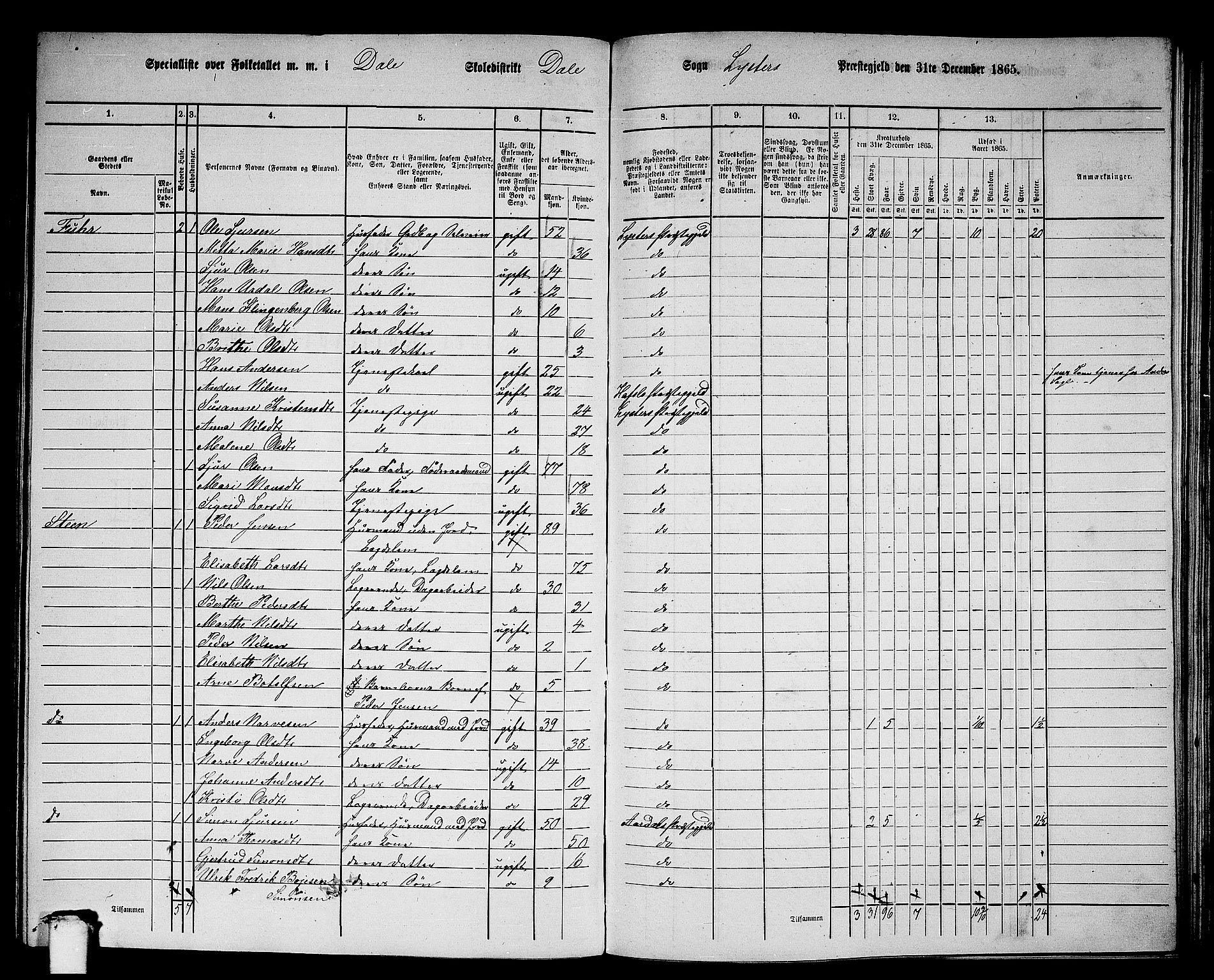 RA, 1865 census for Luster, 1865, p. 103