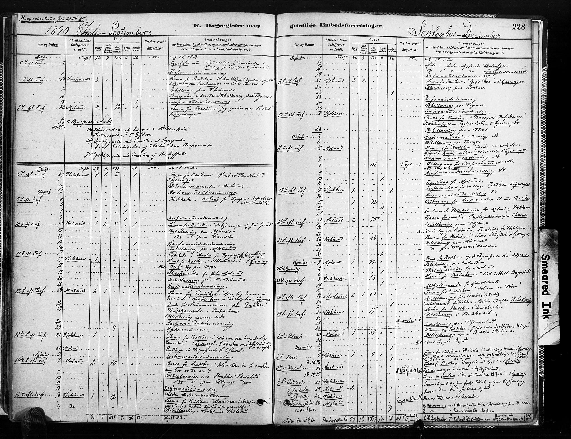 Austre Moland sokneprestkontor, AV/SAK-1111-0001/F/Fa/Faa/L0010: Parish register (official) no. A 10, 1880-1904, p. 228