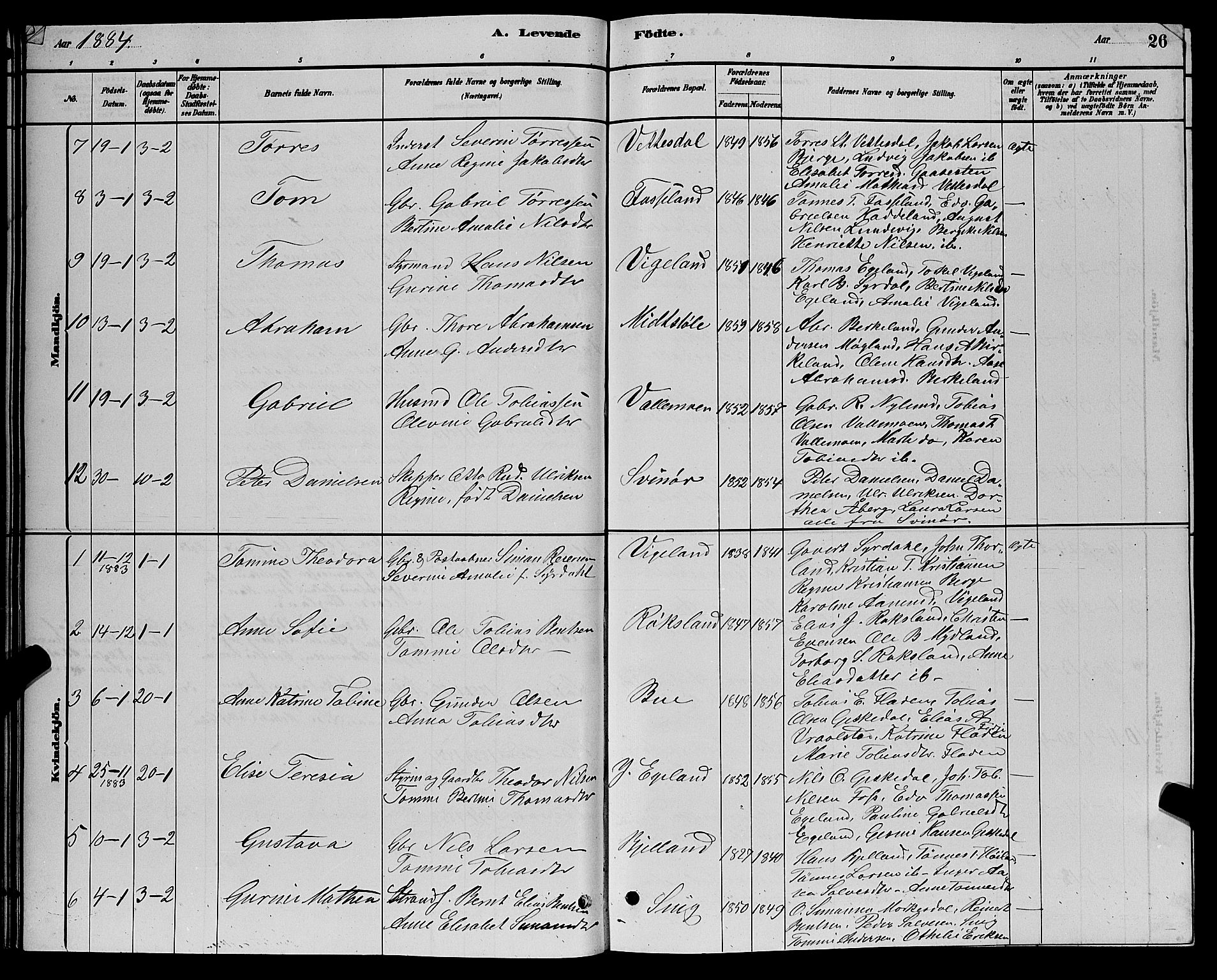 Sør-Audnedal sokneprestkontor, AV/SAK-1111-0039/F/Fb/Fbb/L0005: Parish register (copy) no. B 5, 1880-1892, p. 26