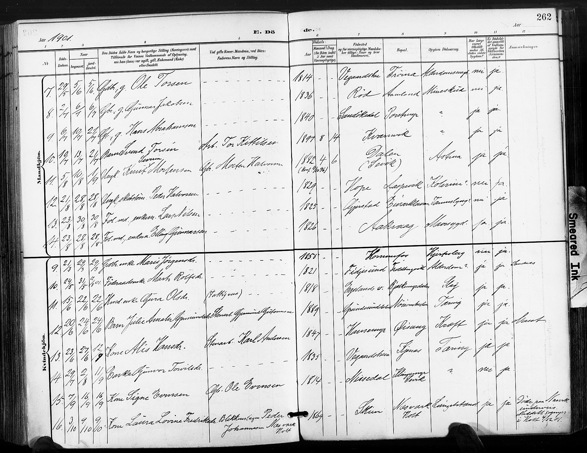 Søndeled sokneprestkontor, AV/SAK-1111-0038/F/Fa/L0006: Parish register (official) no. A 6, 1900-1922, p. 262