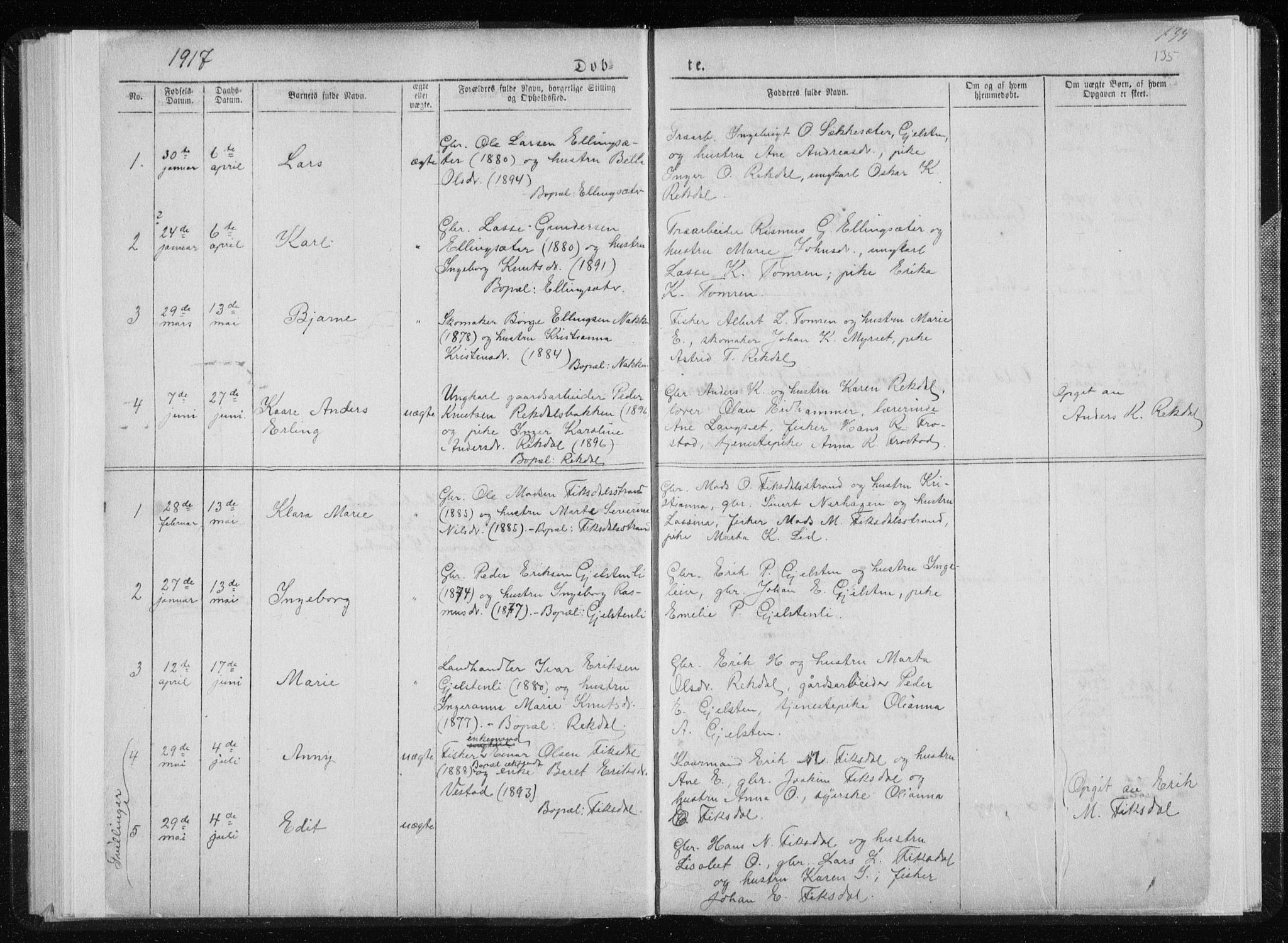 Ministerialprotokoller, klokkerbøker og fødselsregistre - Møre og Romsdal, SAT/A-1454/540/L0541: Parish register (copy) no. 540C01, 1867-1920, p. 135