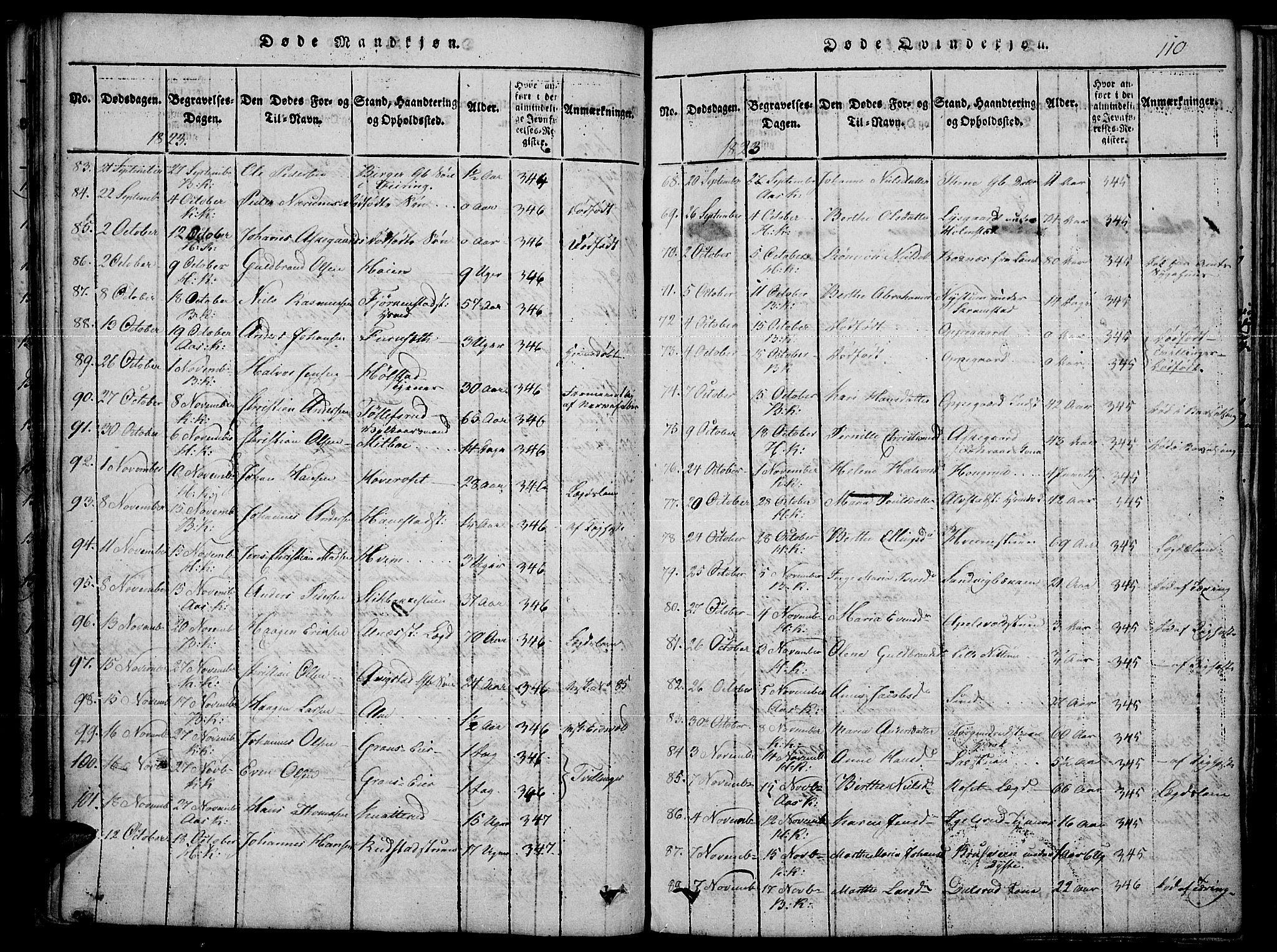 Toten prestekontor, SAH/PREST-102/H/Ha/Haa/L0010: Parish register (official) no. 10, 1820-1828, p. 110