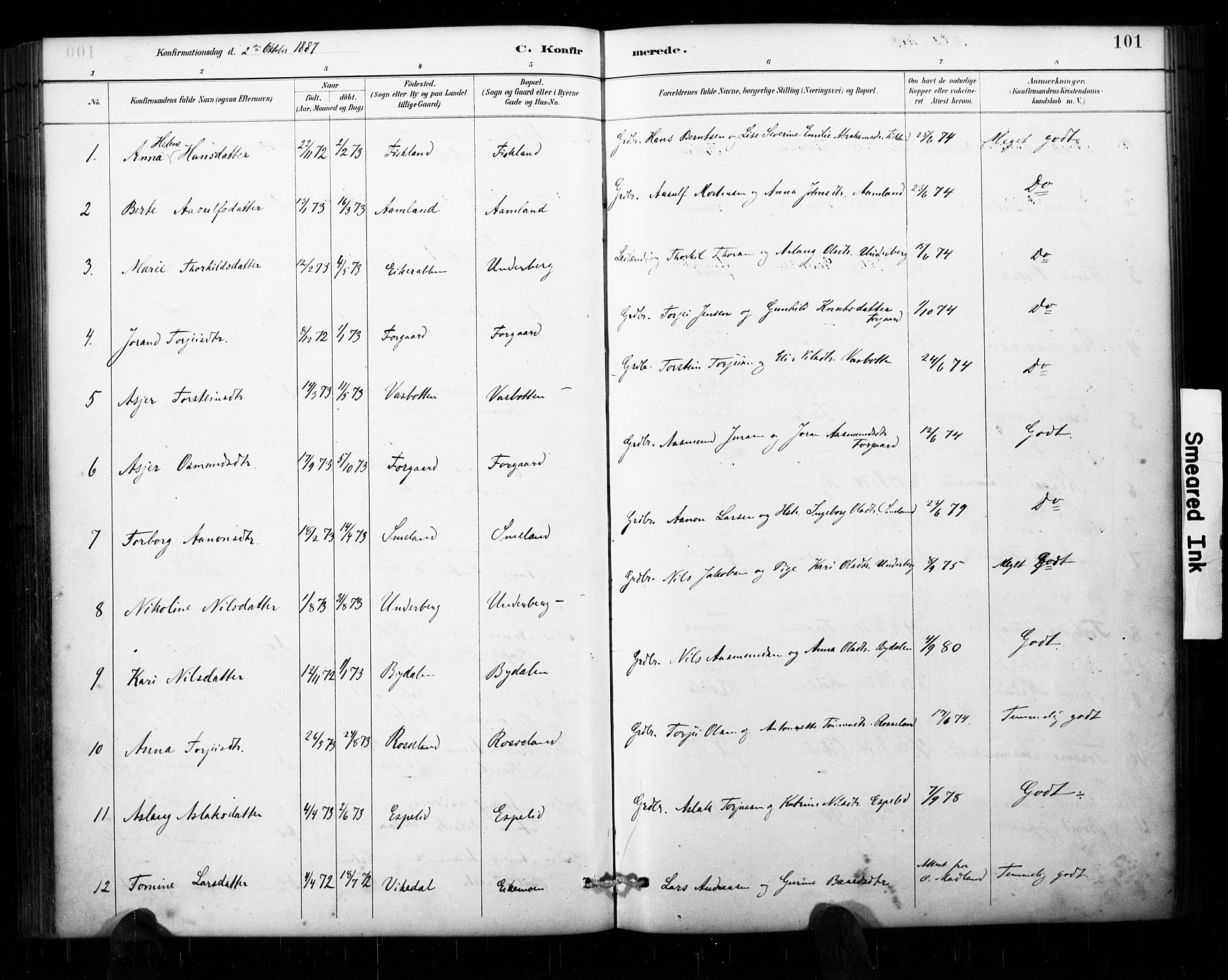 Åseral sokneprestkontor, AV/SAK-1111-0051/F/Fa/L0003: Parish register (official) no. A 3, 1884-1901, p. 101