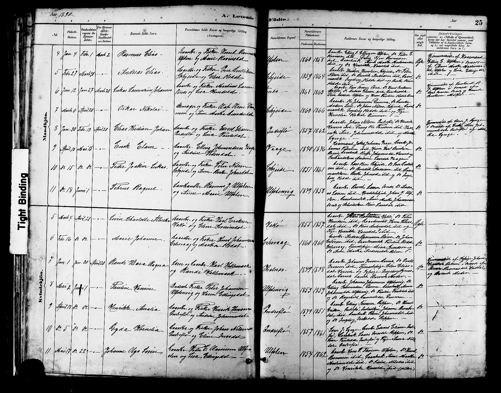 Ministerialprotokoller, klokkerbøker og fødselsregistre - Møre og Romsdal, SAT/A-1454/509/L0112: Parish register (copy) no. 509C02, 1883-1922, p. 25