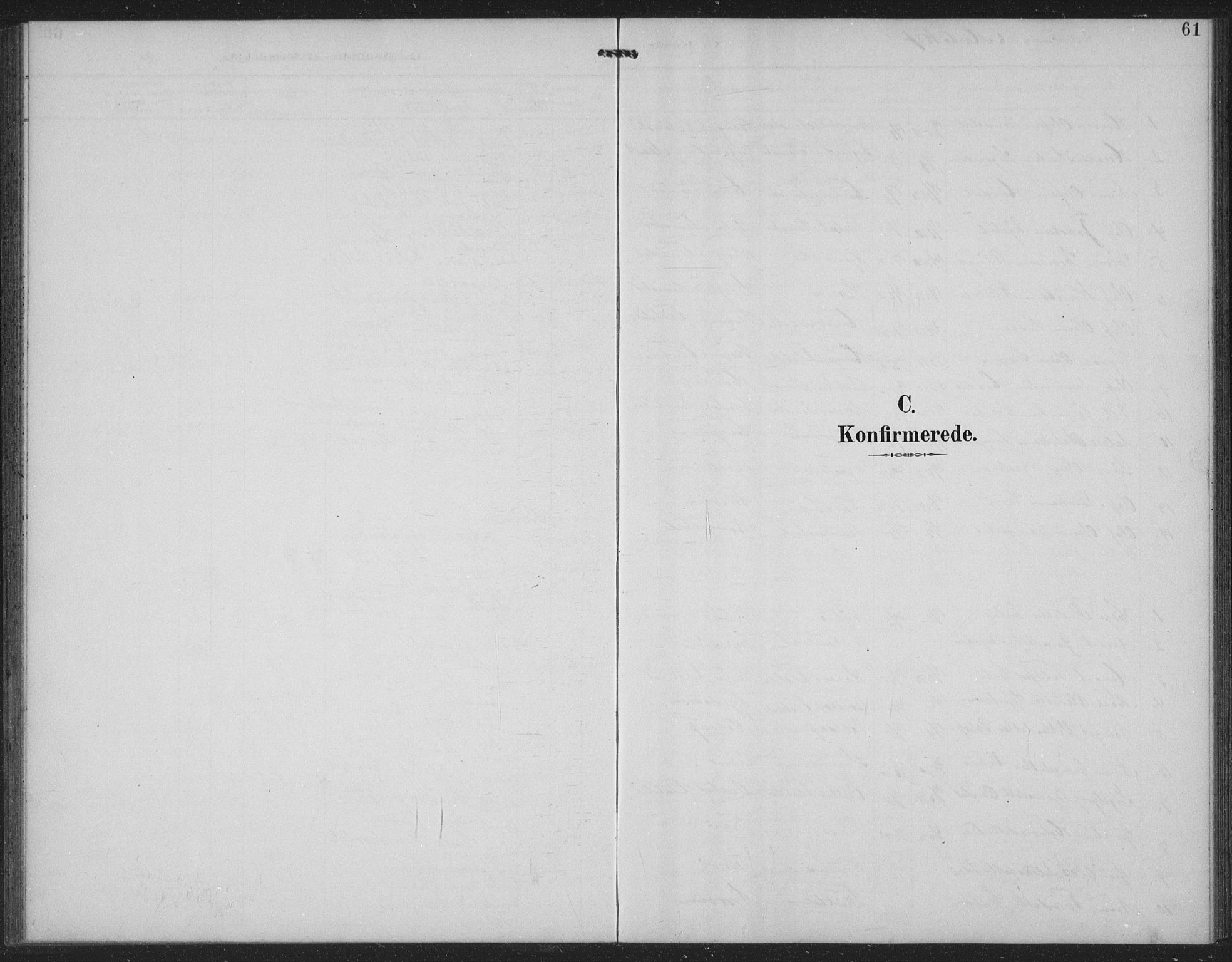 Seljord kirkebøker, SAKO/A-20/G/Gc/L0003: Parish register (copy) no. III 3, 1887-1926, p. 61