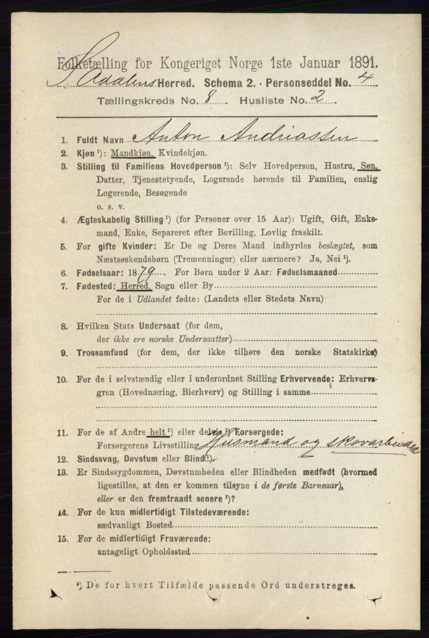 RA, 1891 census for 0419 Sør-Odal, 1891, p. 3985