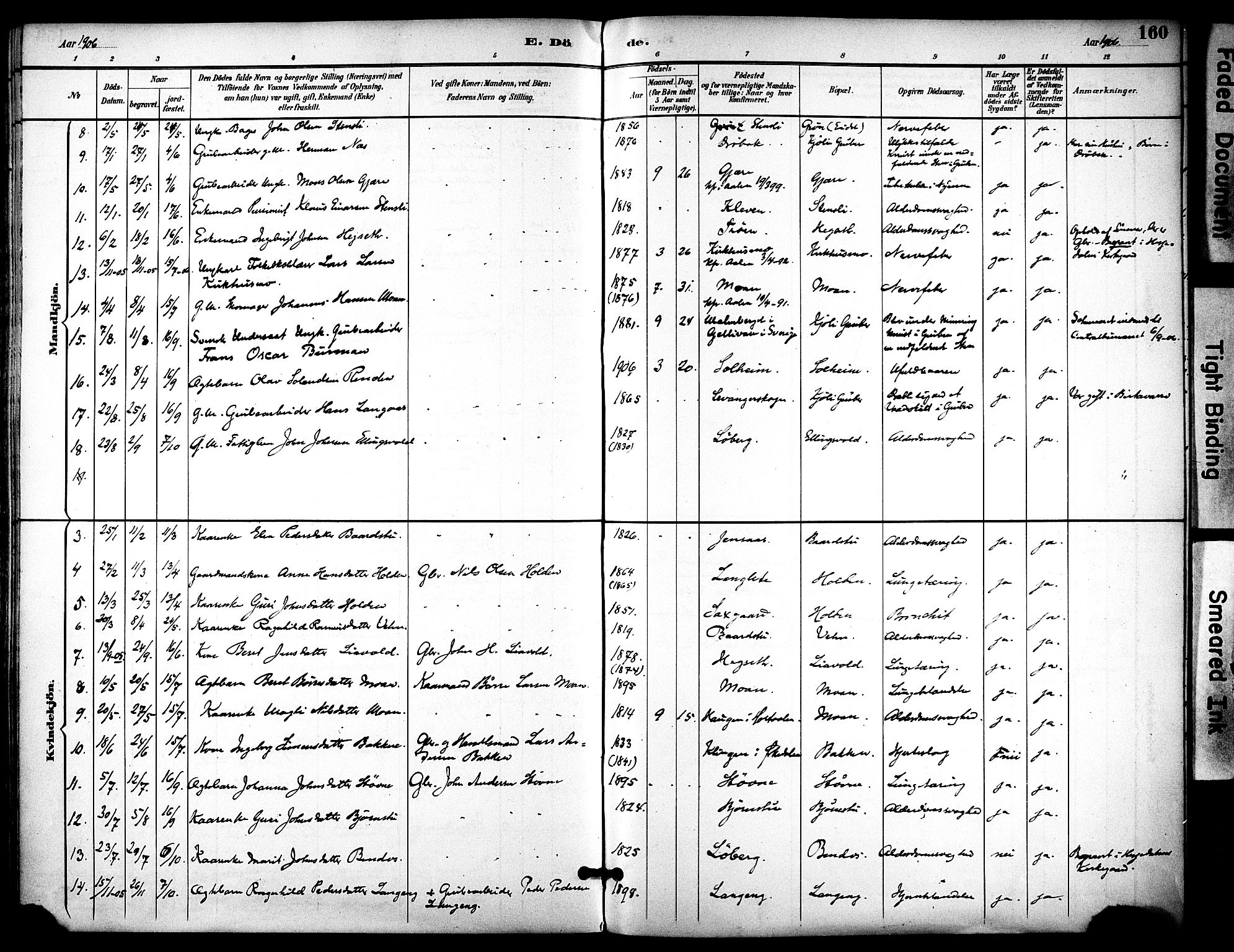 Ministerialprotokoller, klokkerbøker og fødselsregistre - Sør-Trøndelag, SAT/A-1456/686/L0984: Parish register (official) no. 686A02, 1891-1906, p. 160