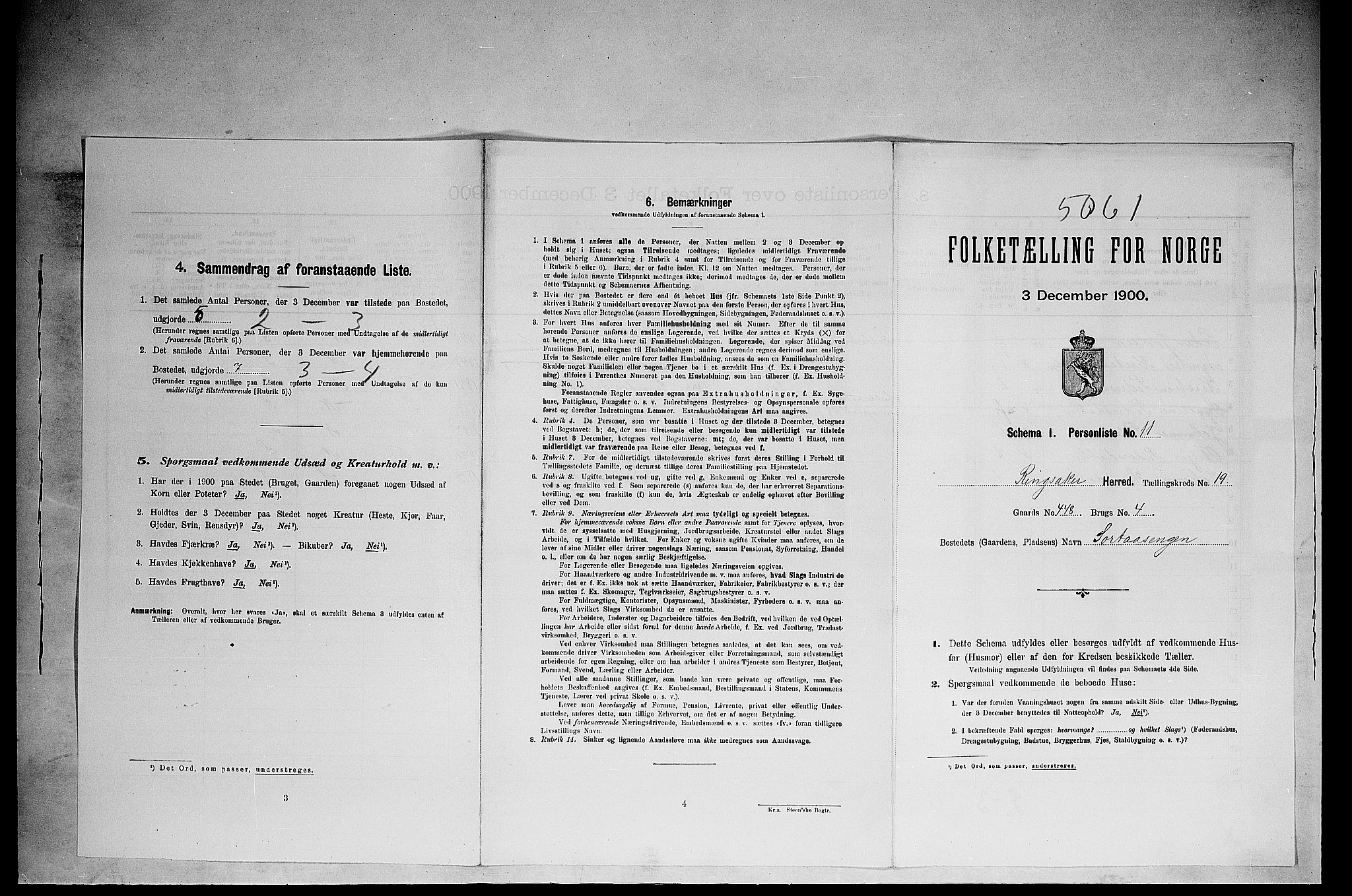 SAH, 1900 census for Ringsaker, 1900, p. 3406