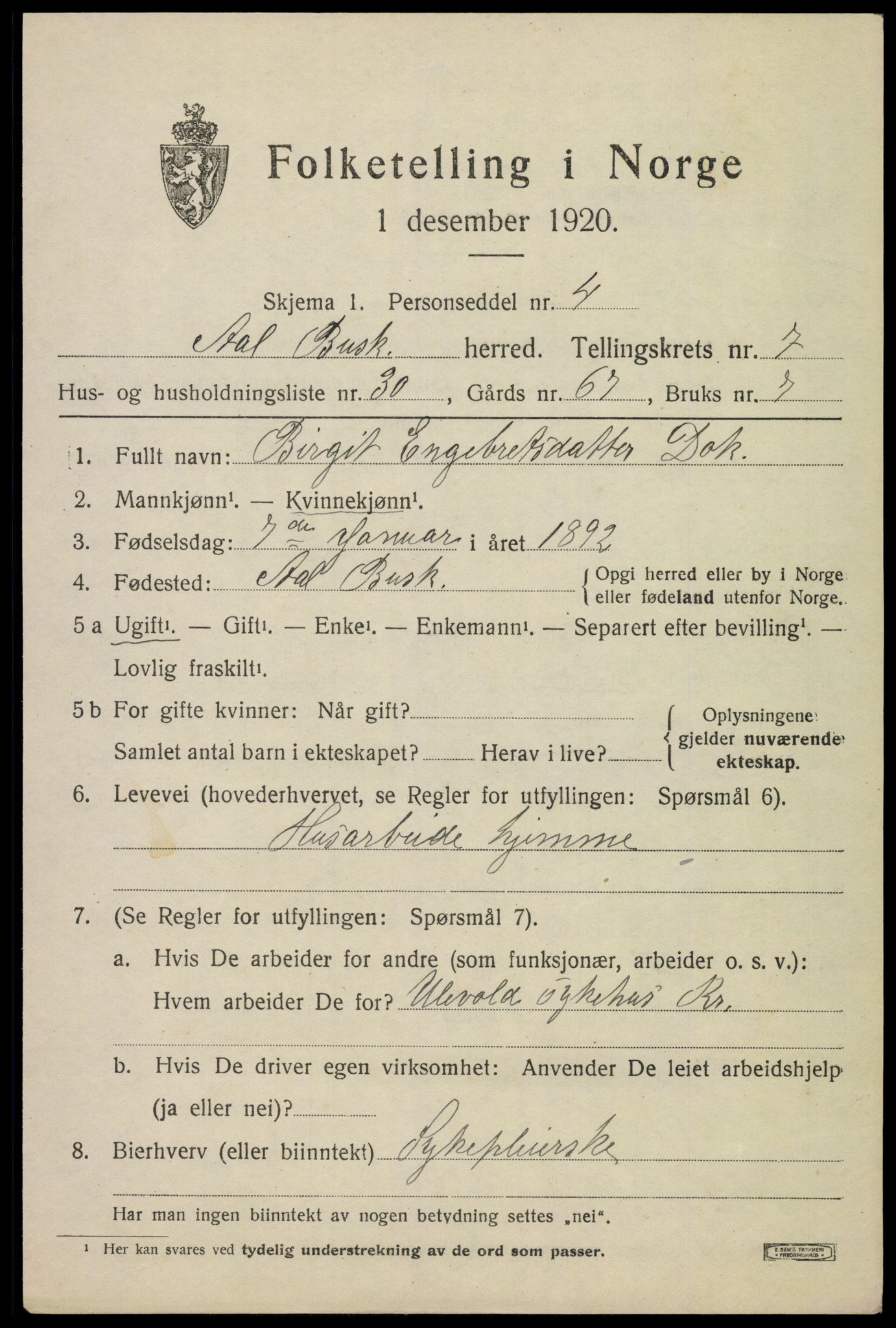 SAKO, 1920 census for Ål, 1920, p. 5116