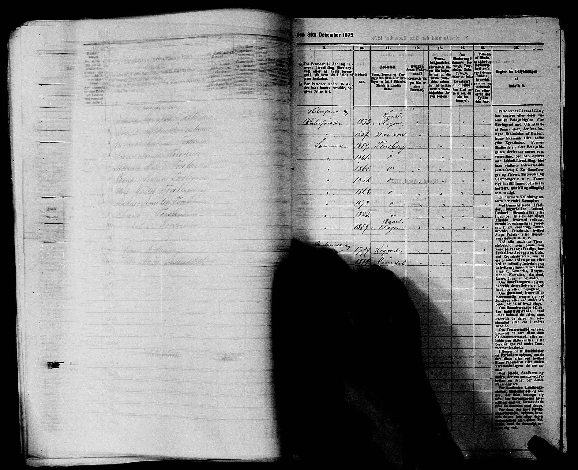 SAKO, 1875 census for 0705P Tønsberg, 1875, p. 732