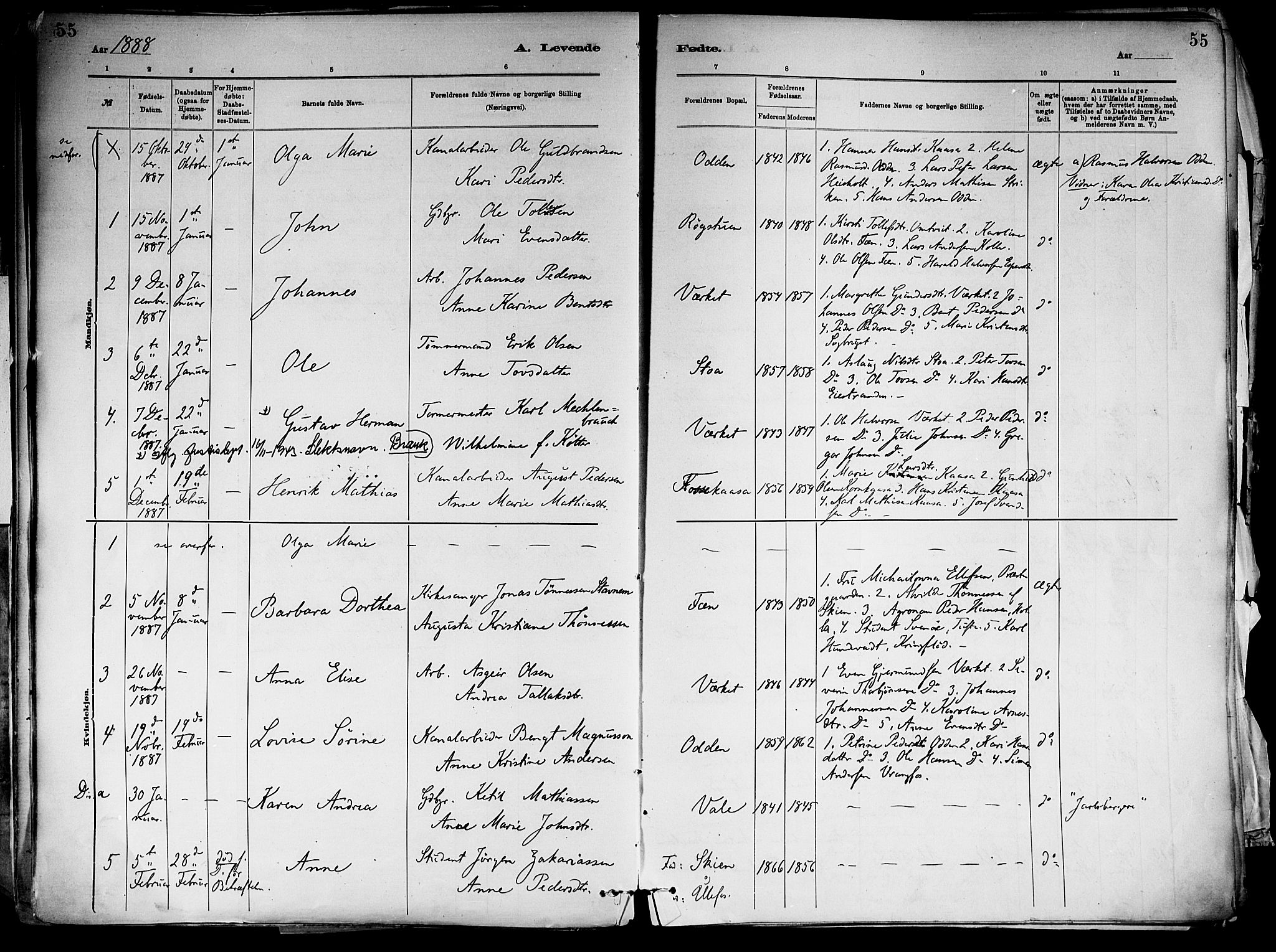 Holla kirkebøker, AV/SAKO-A-272/F/Fa/L0008: Parish register (official) no. 8, 1882-1897, p. 55