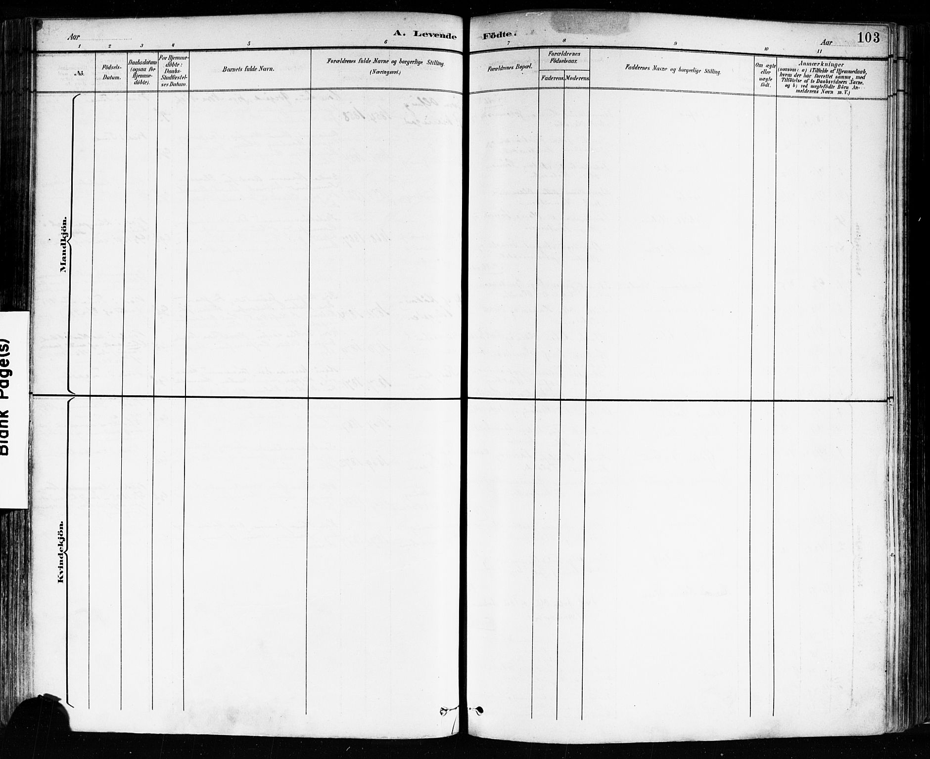 Sarpsborg prestekontor Kirkebøker, SAO/A-2006/F/Fa/L0004: Parish register (official) no. 4, 1892-1899, p. 103