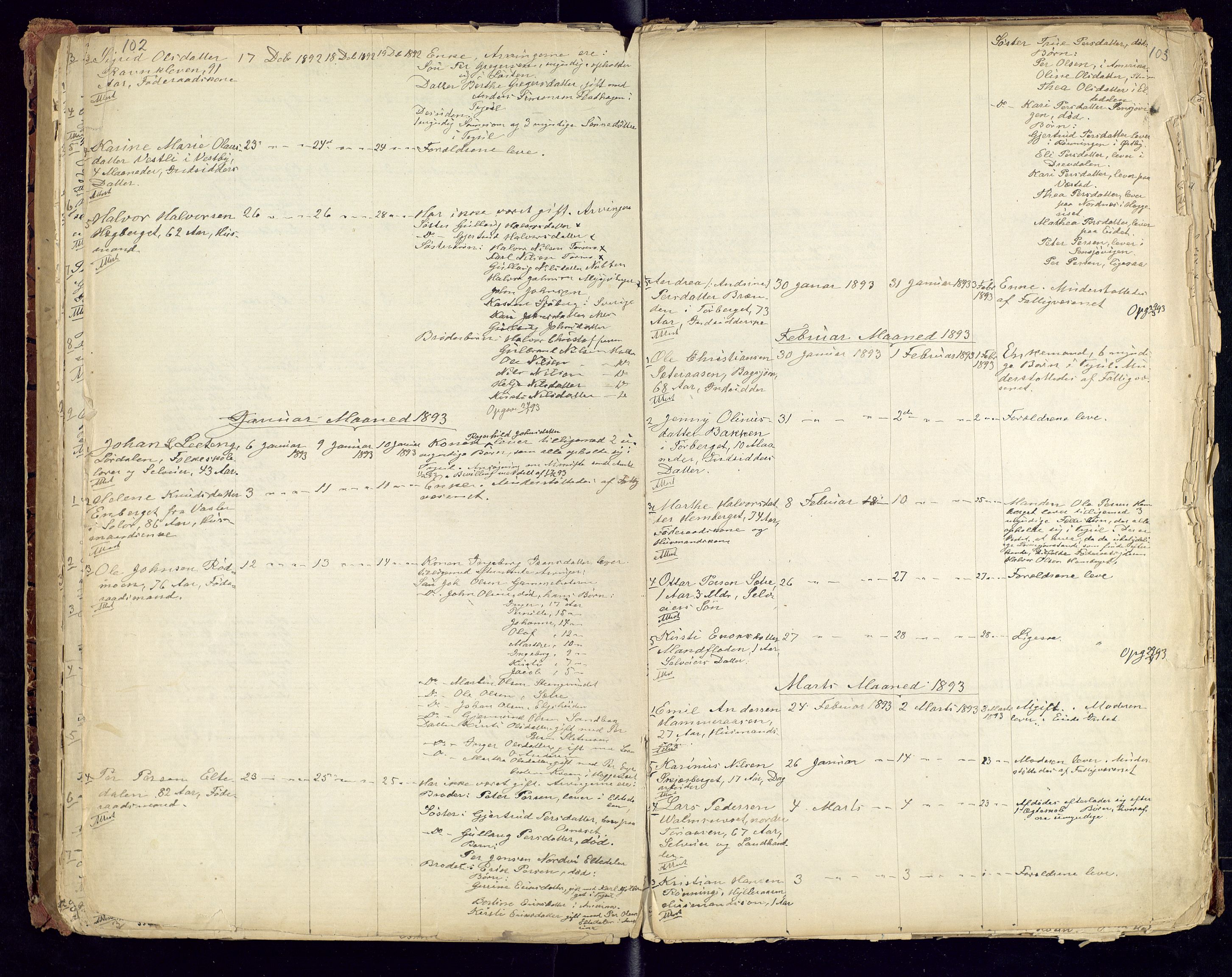 Trysil lensmannskontor, AV/SAH-LHT-026/H/Ha/L0001: Dødsfallsprotokoll, 1875-1901, p. 102-103