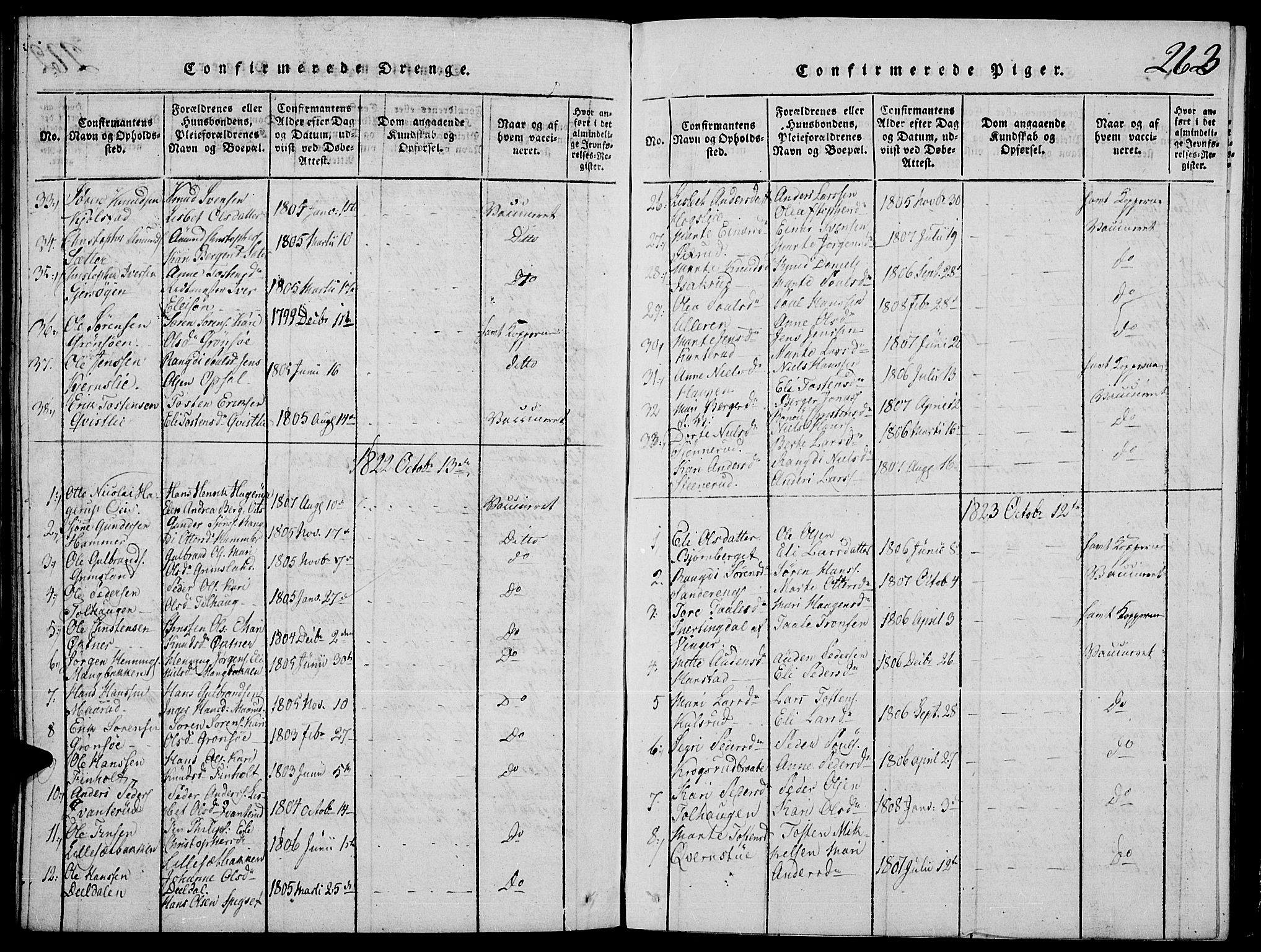 Strøm-Odalen prestekontor, SAH/PREST-028/H/Ha/Hab/L0001: Parish register (copy) no. 1, 1813-1825, p. 263