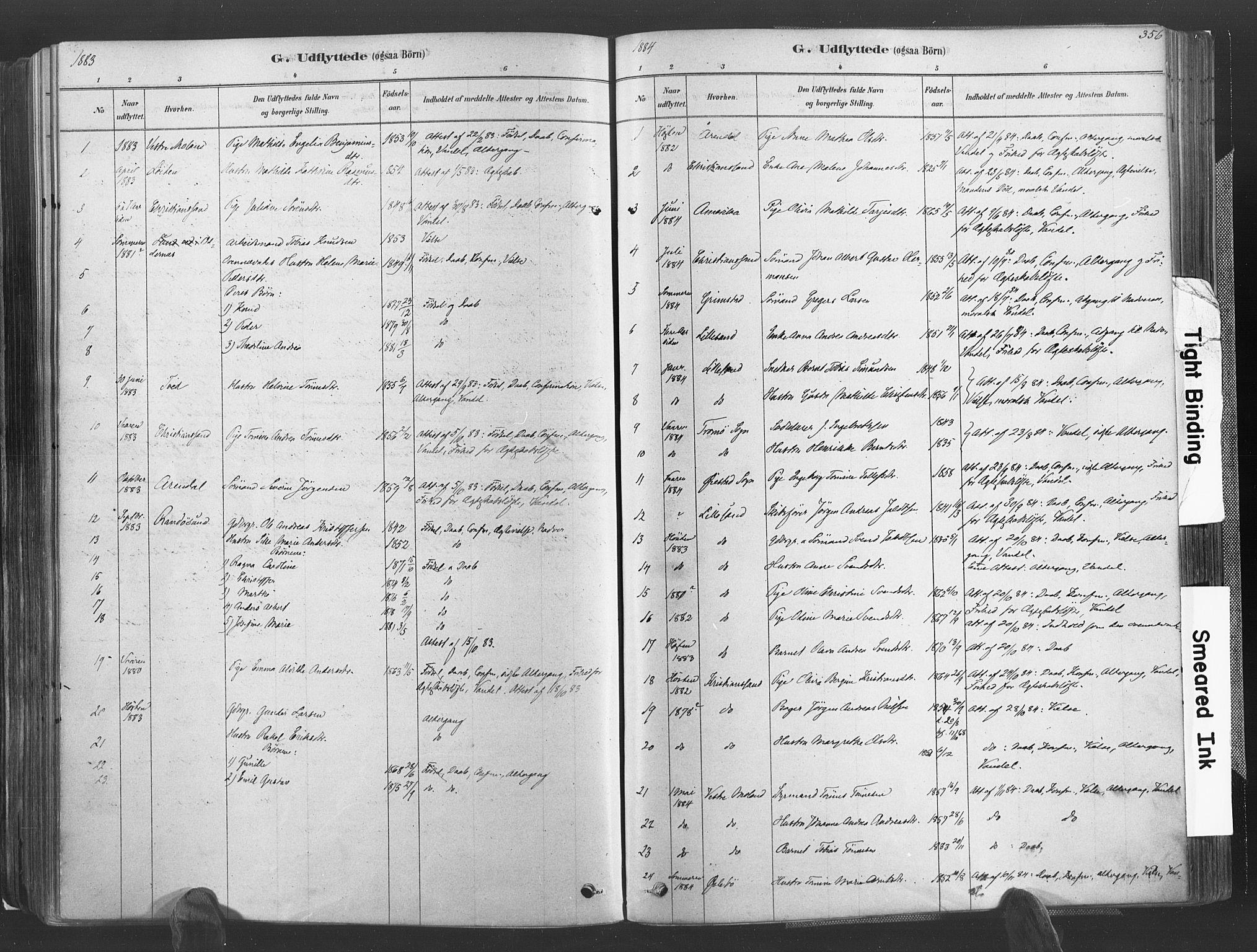 Høvåg sokneprestkontor, SAK/1111-0025/F/Fa/L0005: Parish register (official) no. A 5, 1878-1893, p. 356