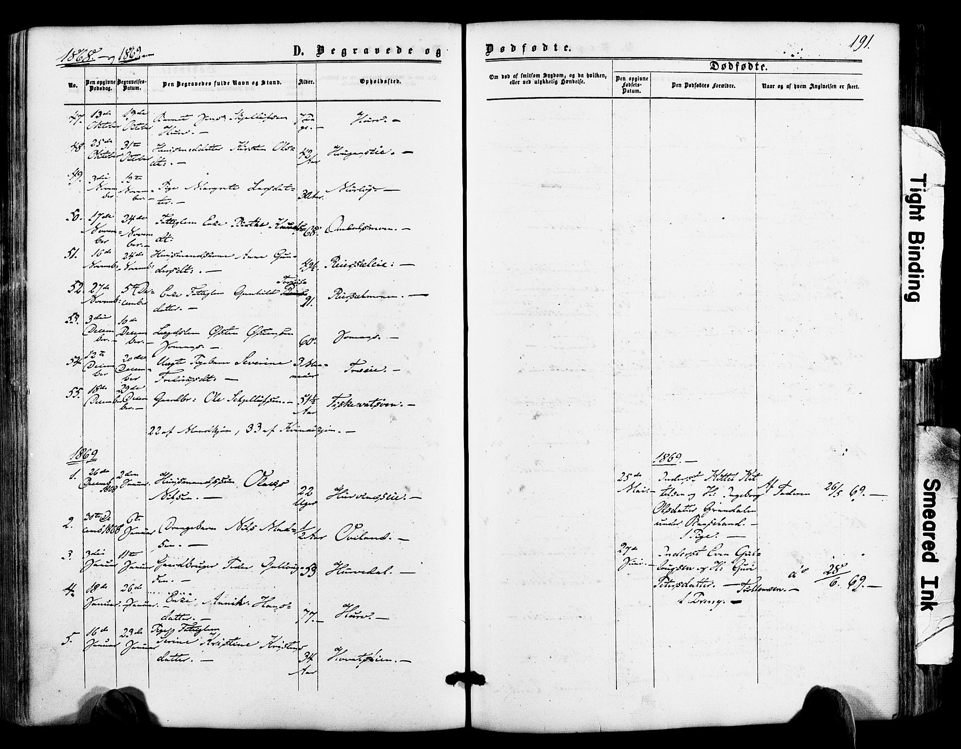 Froland sokneprestkontor, AV/SAK-1111-0013/F/Fa/L0003: Parish register (official) no. A 3, 1864-1881, p. 191