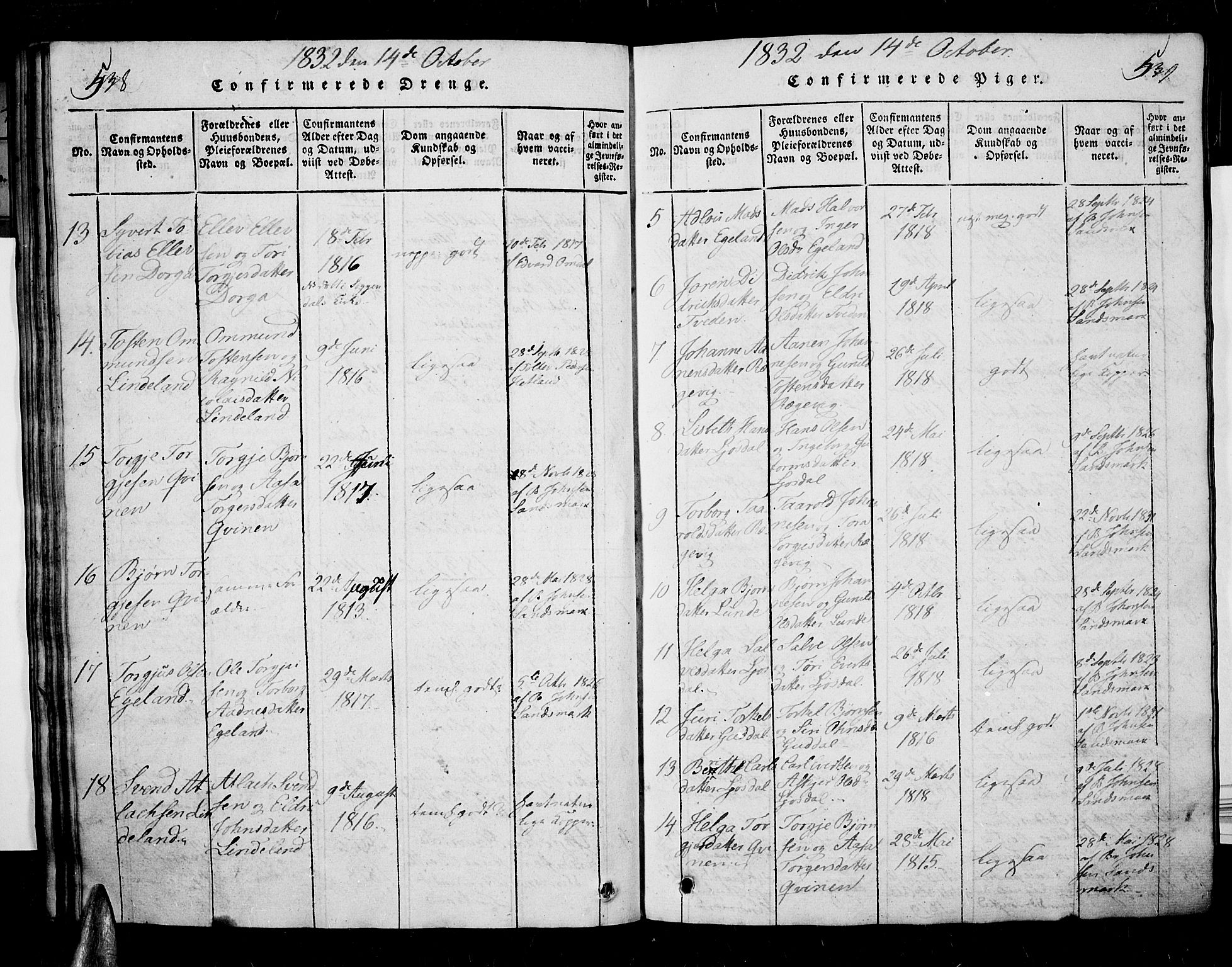 Sirdal sokneprestkontor, AV/SAK-1111-0036/F/Fa/Fab/L0001: Parish register (official) no. A 1, 1815-1834, p. 538-539