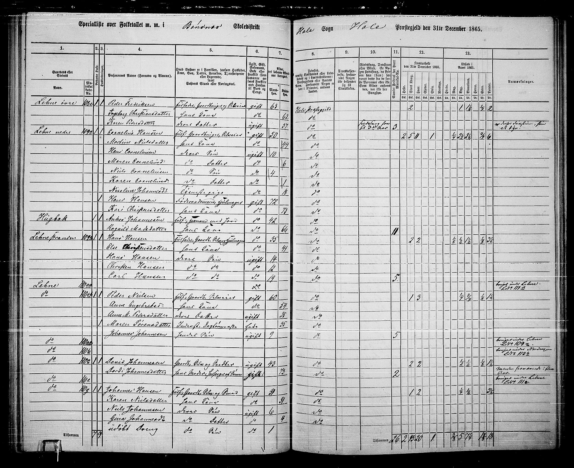 RA, 1865 census for Hole, 1865, p. 86