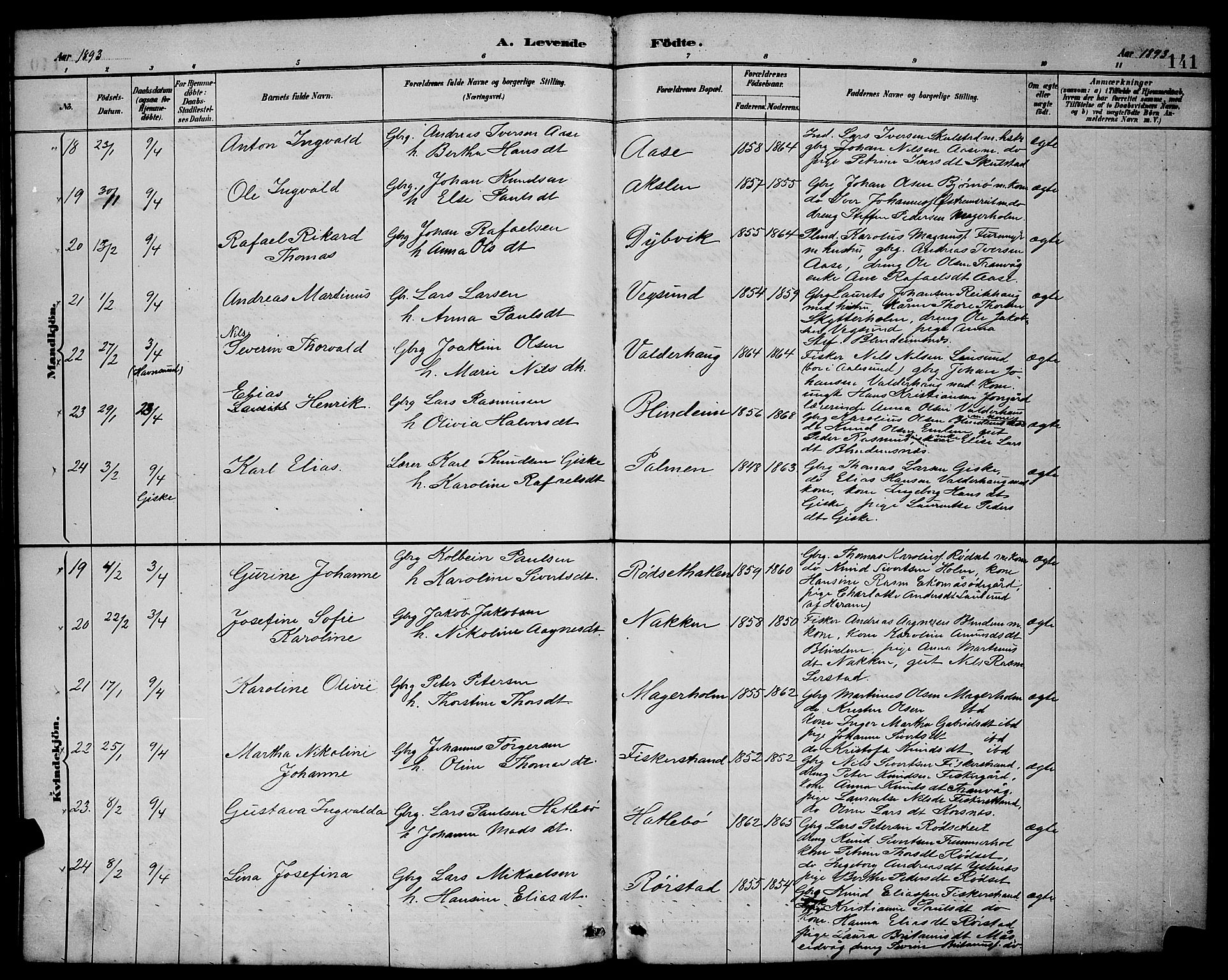 Ministerialprotokoller, klokkerbøker og fødselsregistre - Møre og Romsdal, AV/SAT-A-1454/528/L0431: Parish register (copy) no. 528C12, 1885-1898, p. 141