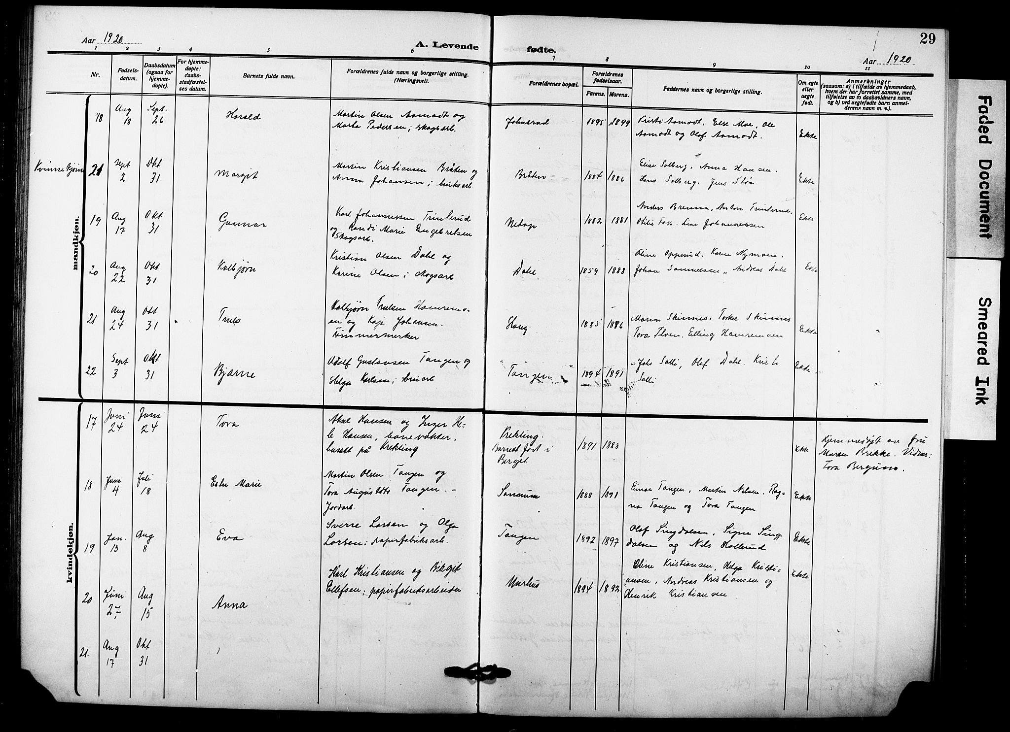 Hole kirkebøker, AV/SAKO-A-228/G/Gb/L0005: Parish register (copy) no. II 5, 1915-1932, p. 29