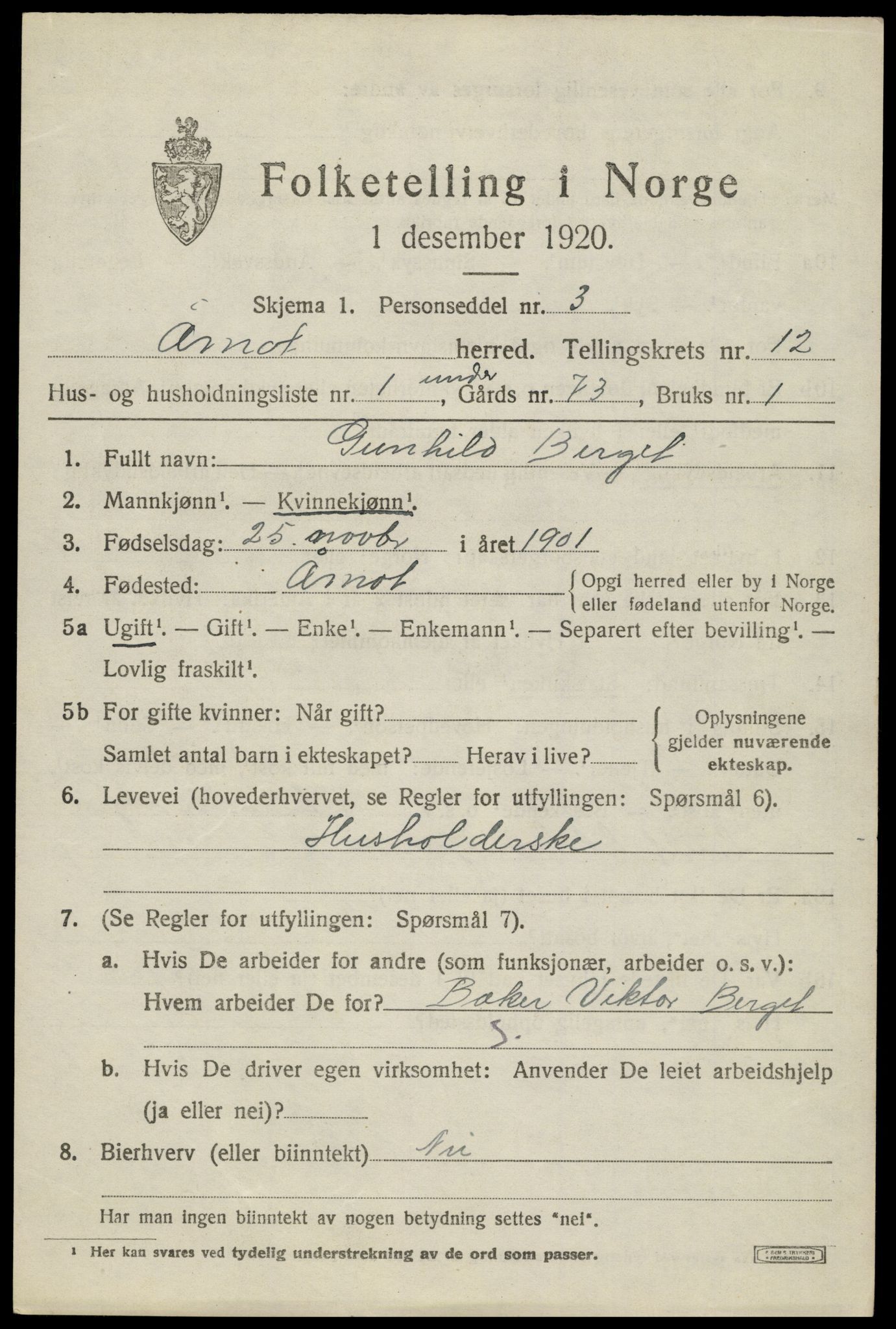 SAH, 1920 census for Åmot, 1920, p. 9613
