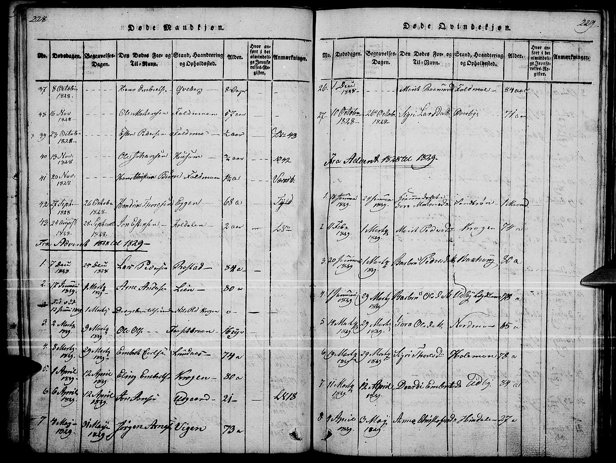 Tynset prestekontor, SAH/PREST-058/H/Ha/Haa/L0018: Parish register (official) no. 18, 1815-1829, p. 228-229