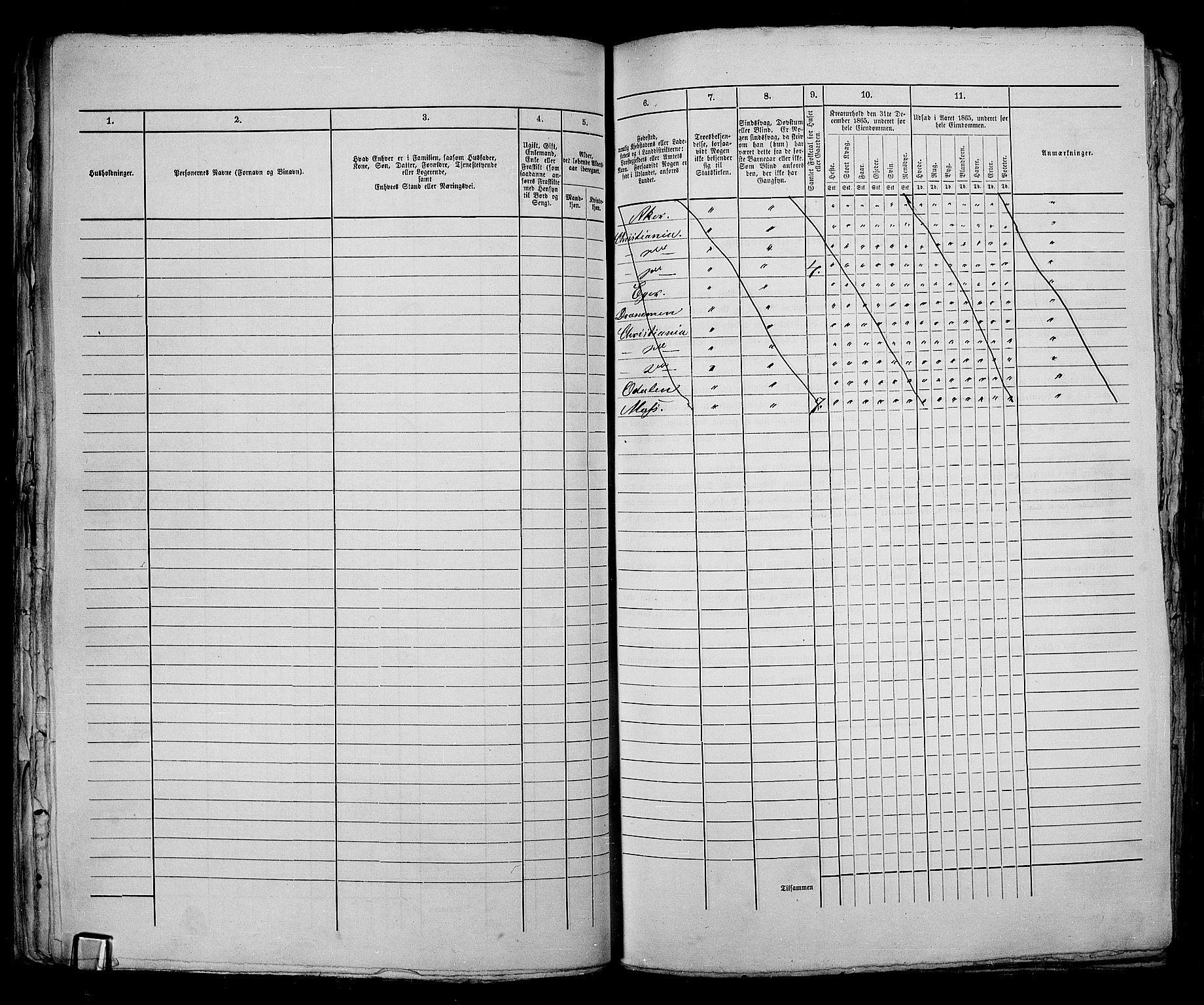 RA, 1865 census for Kristiania, 1865, p. 1811