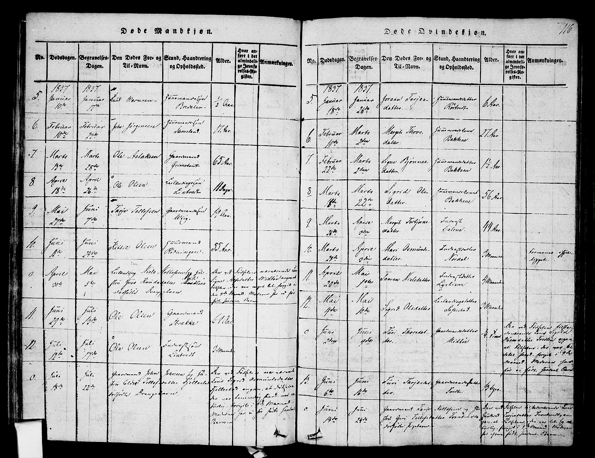 Nissedal kirkebøker, SAKO/A-288/F/Fa/L0002: Parish register (official) no. I 2, 1814-1845, p. 116