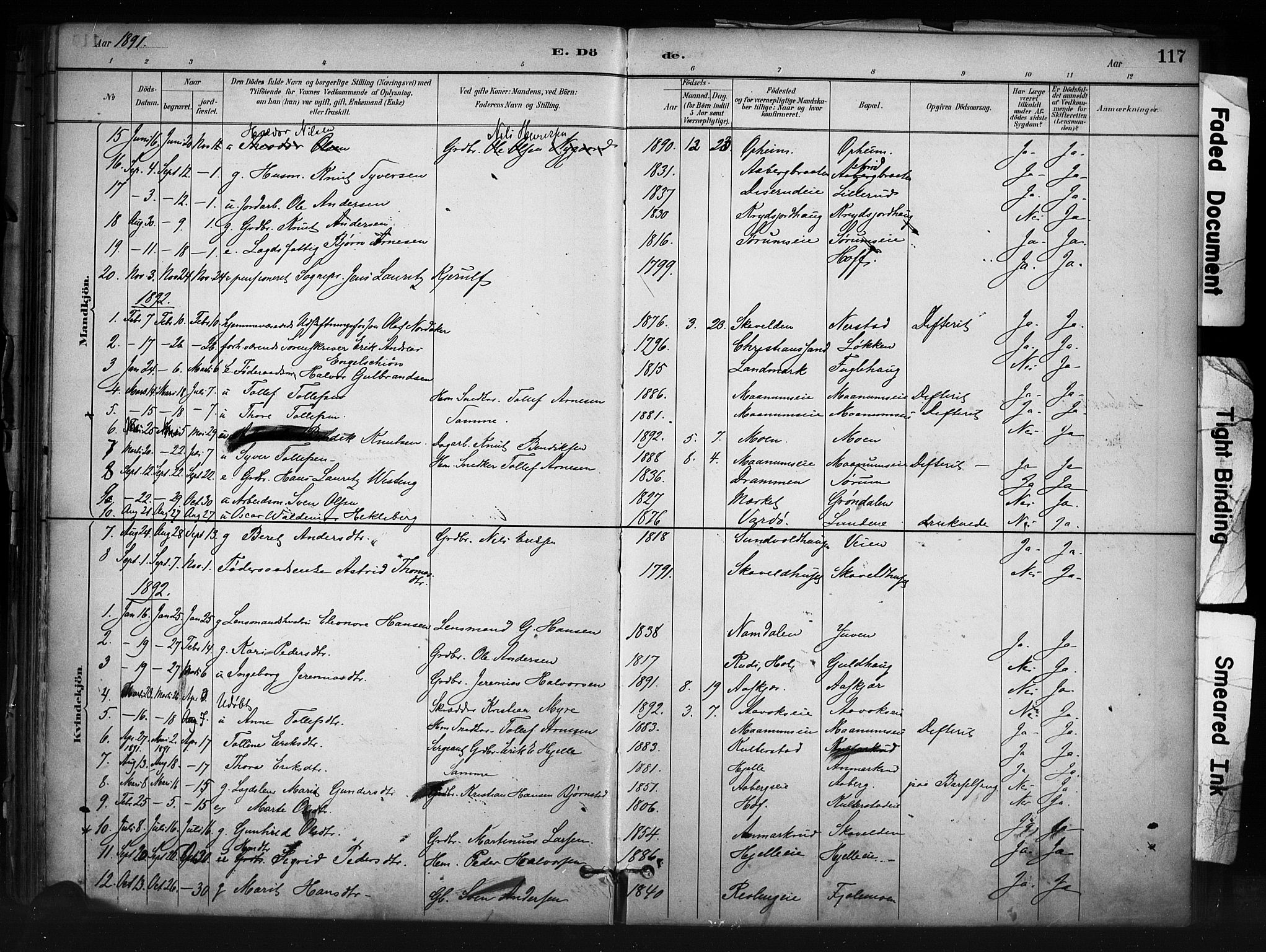 Nord-Aurdal prestekontor, AV/SAH-PREST-132/H/Ha/Haa/L0013: Parish register (official) no. 13, 1883-1895, p. 117
