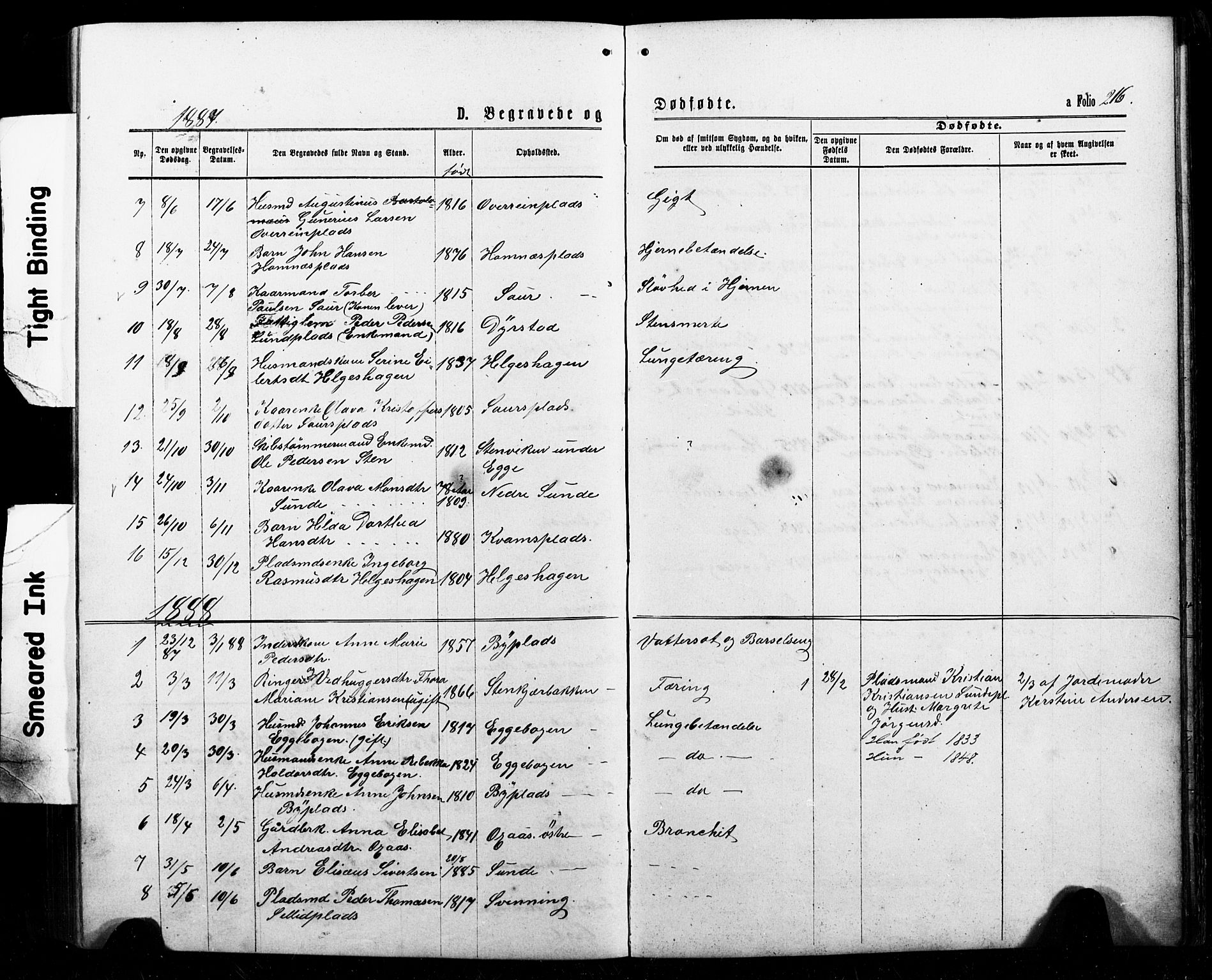 Ministerialprotokoller, klokkerbøker og fødselsregistre - Nord-Trøndelag, SAT/A-1458/740/L0380: Parish register (copy) no. 740C01, 1868-1902, p. 216