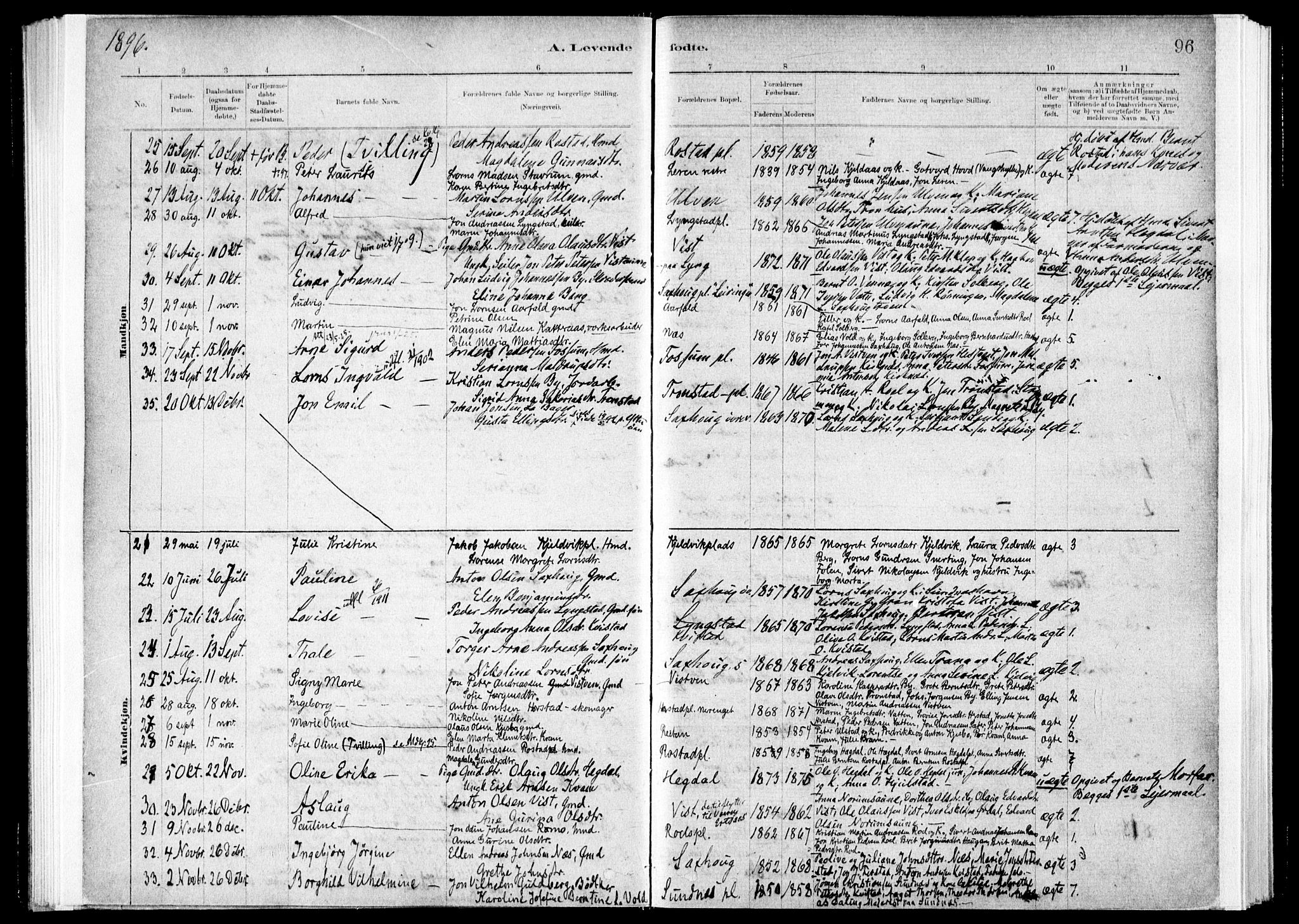 Ministerialprotokoller, klokkerbøker og fødselsregistre - Nord-Trøndelag, SAT/A-1458/730/L0285: Parish register (official) no. 730A10, 1879-1914, p. 96