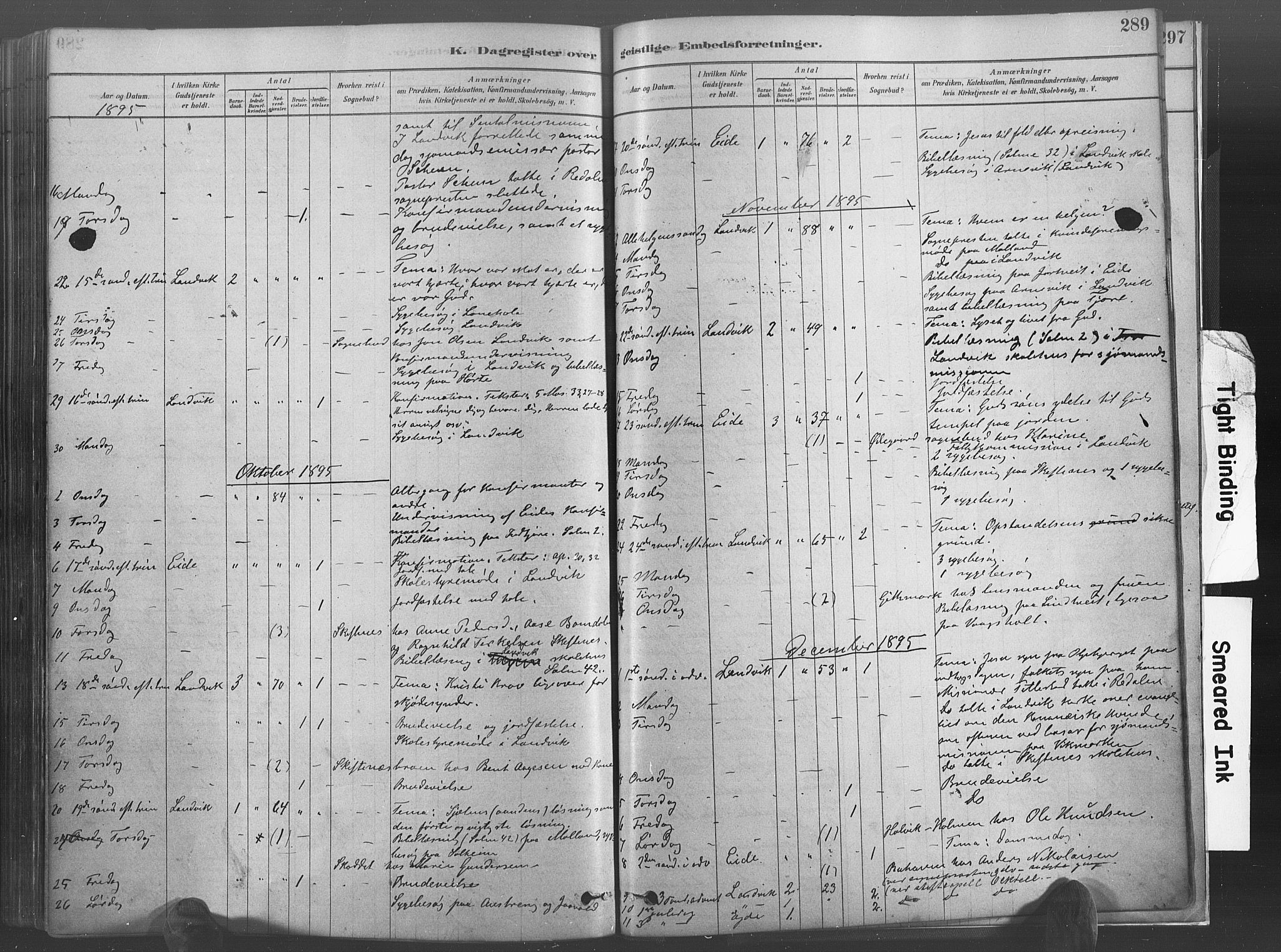 Hommedal sokneprestkontor, SAK/1111-0023/F/Fa/Fab/L0006: Parish register (official) no. A 6, 1878-1897, p. 289