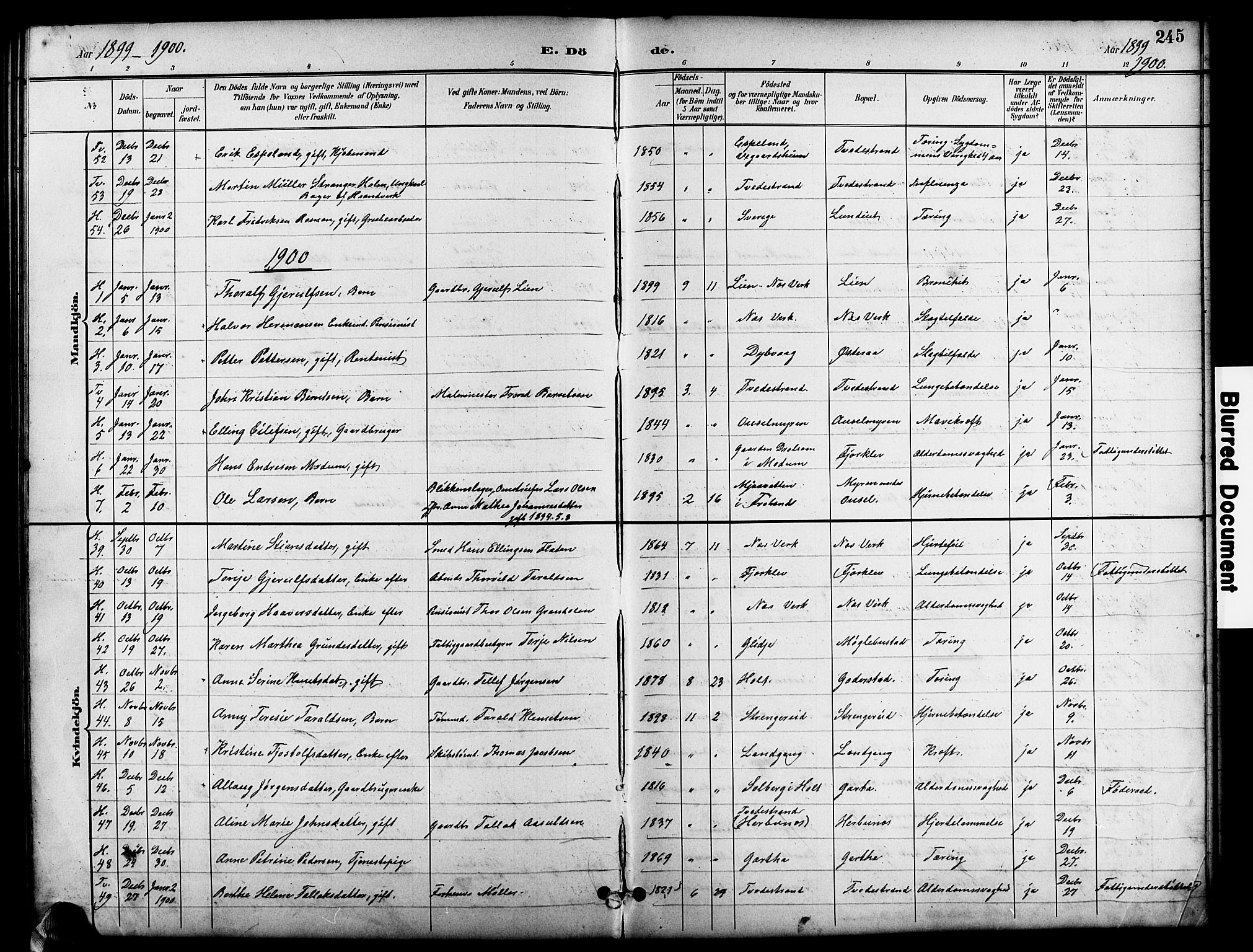 Holt sokneprestkontor, SAK/1111-0021/F/Fb/L0011: Parish register (copy) no. B 11, 1897-1921, p. 245