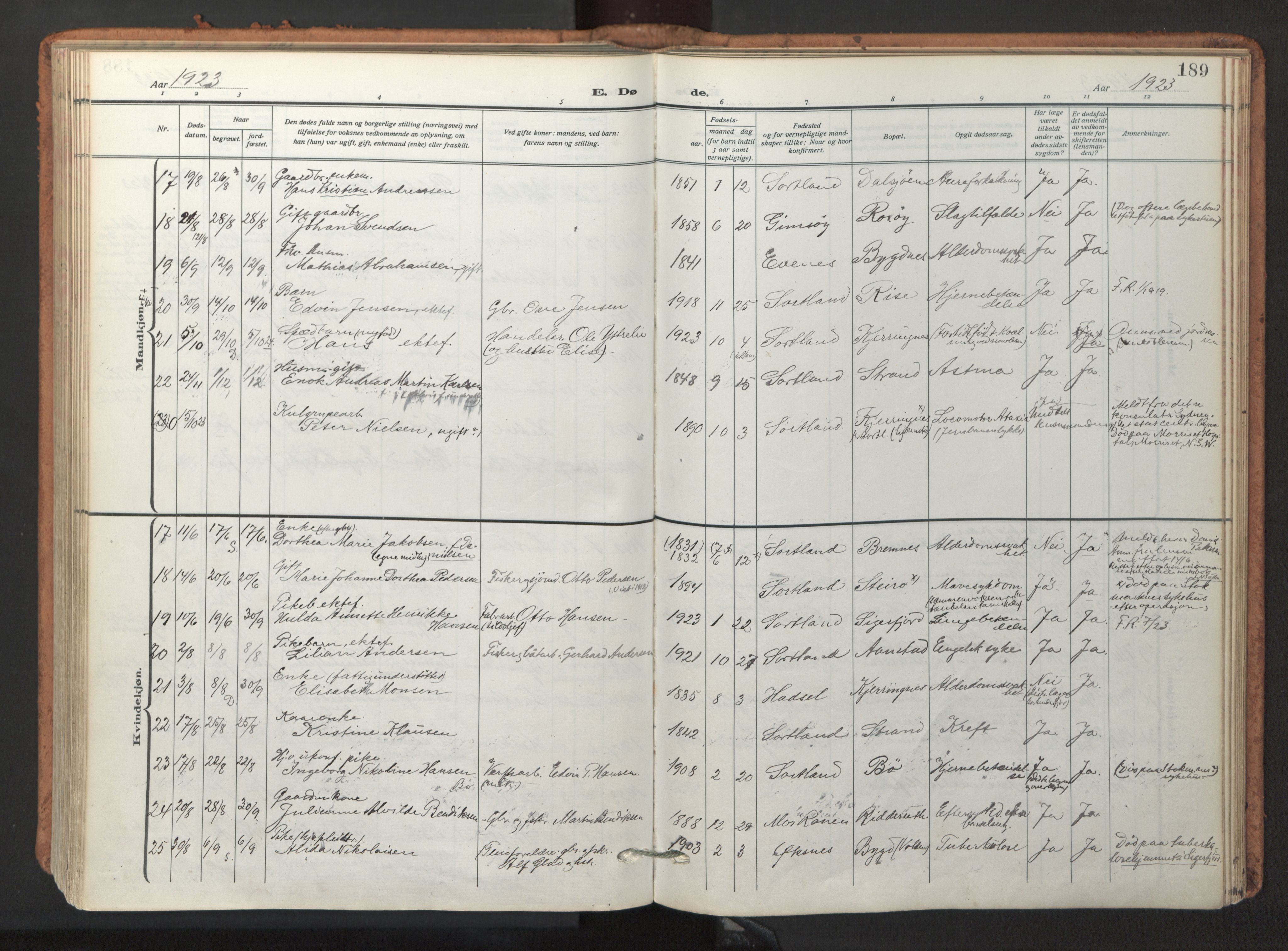 Ministerialprotokoller, klokkerbøker og fødselsregistre - Nordland, AV/SAT-A-1459/895/L1374: Parish register (official) no. 895A09, 1915-1925, p. 189