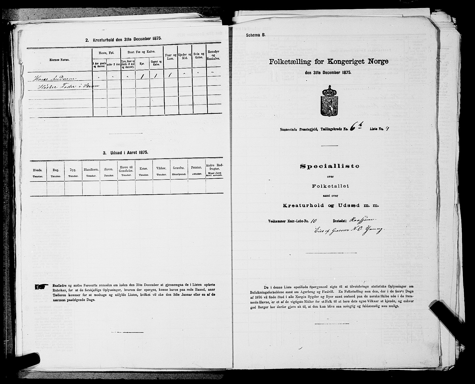 RA, 1875 census for 0238P Nannestad, 1875, p. 991