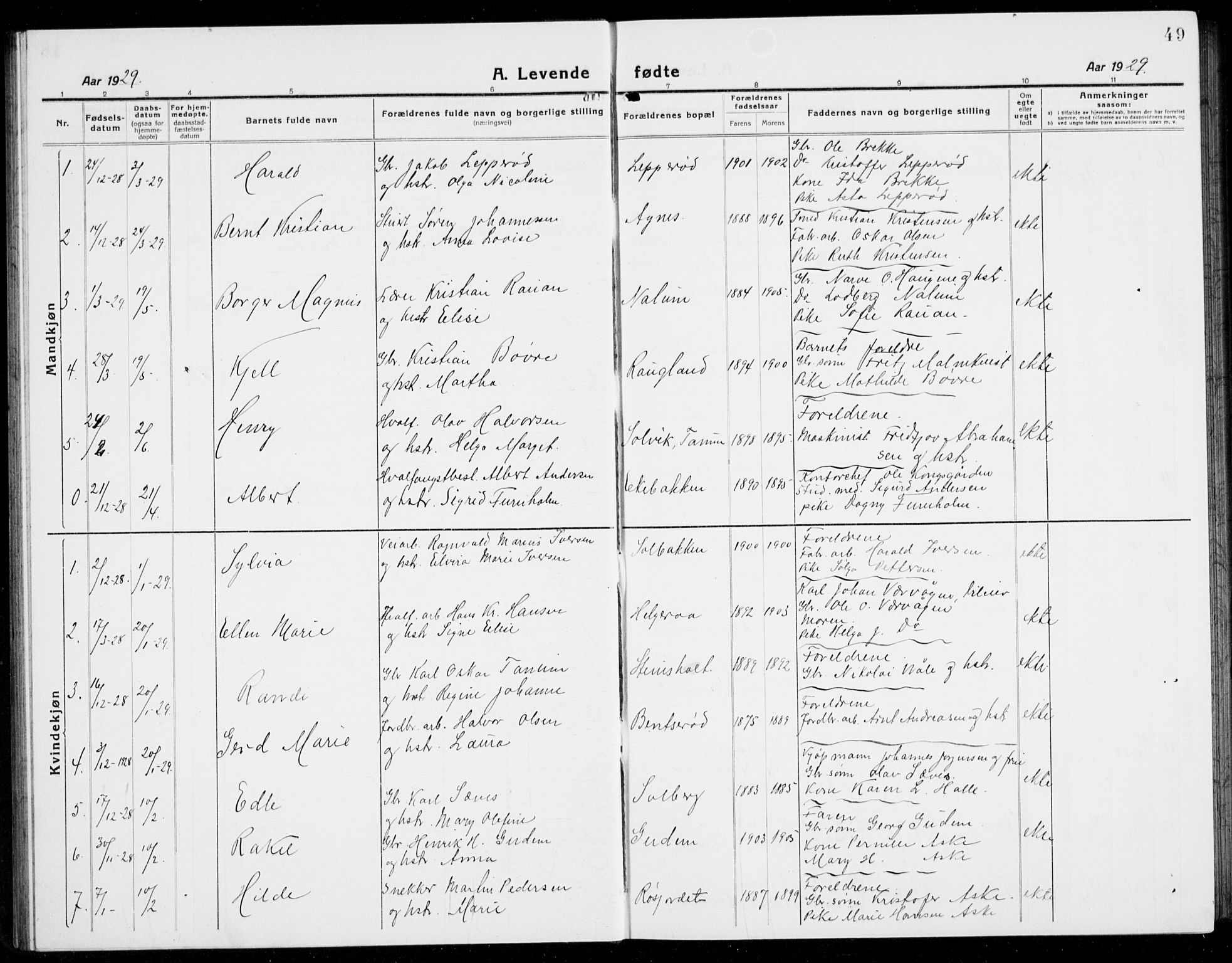 Brunlanes kirkebøker, SAKO/A-342/G/Ga/L0005: Parish register (copy) no. I 5, 1918-1941, p. 49