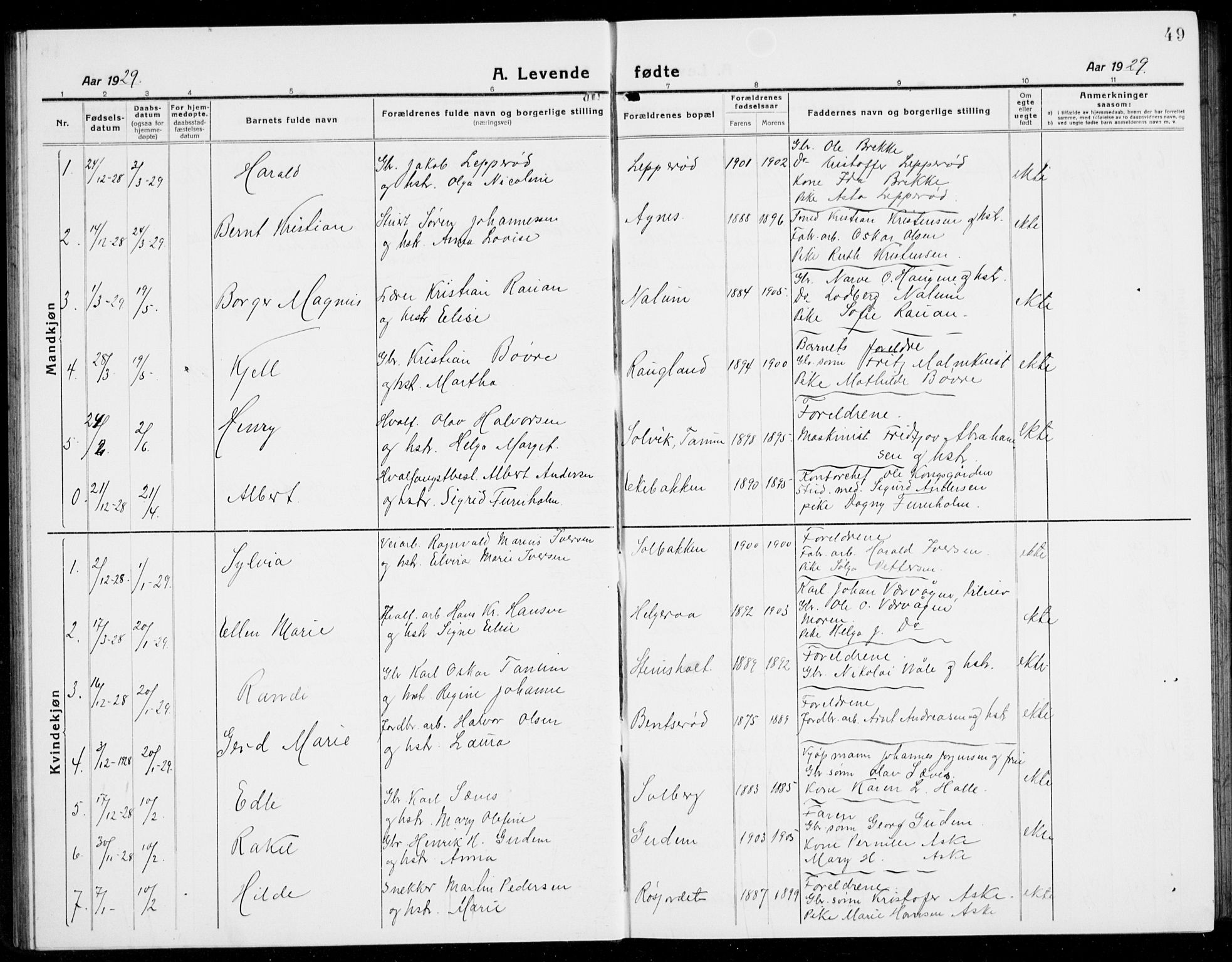 Brunlanes kirkebøker, AV/SAKO-A-342/G/Ga/L0005: Parish register (copy) no. I 5, 1918-1941, p. 49