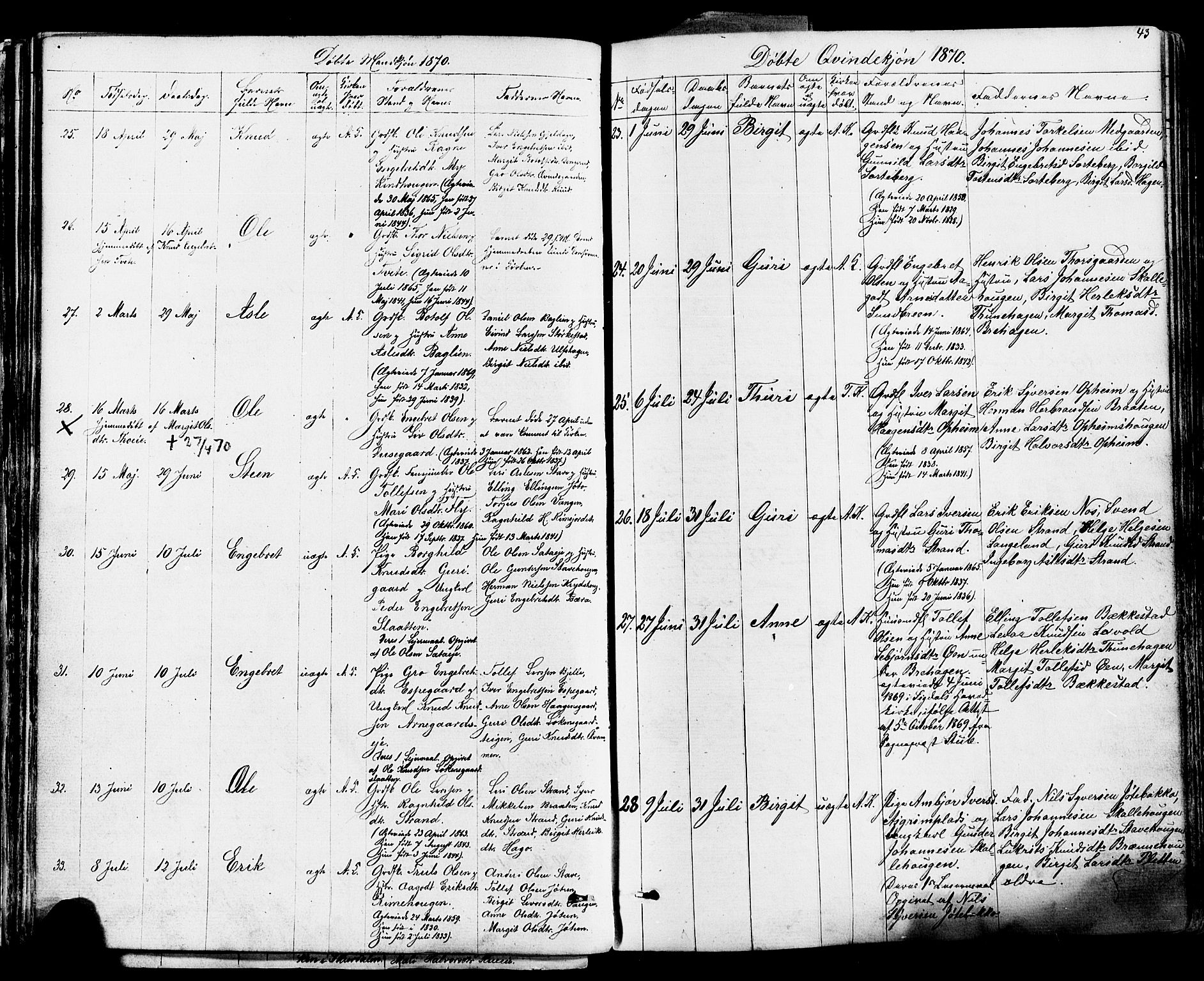 Ål kirkebøker, SAKO/A-249/F/Fa/L0007: Parish register (official) no. I 7, 1865-1881, p. 43