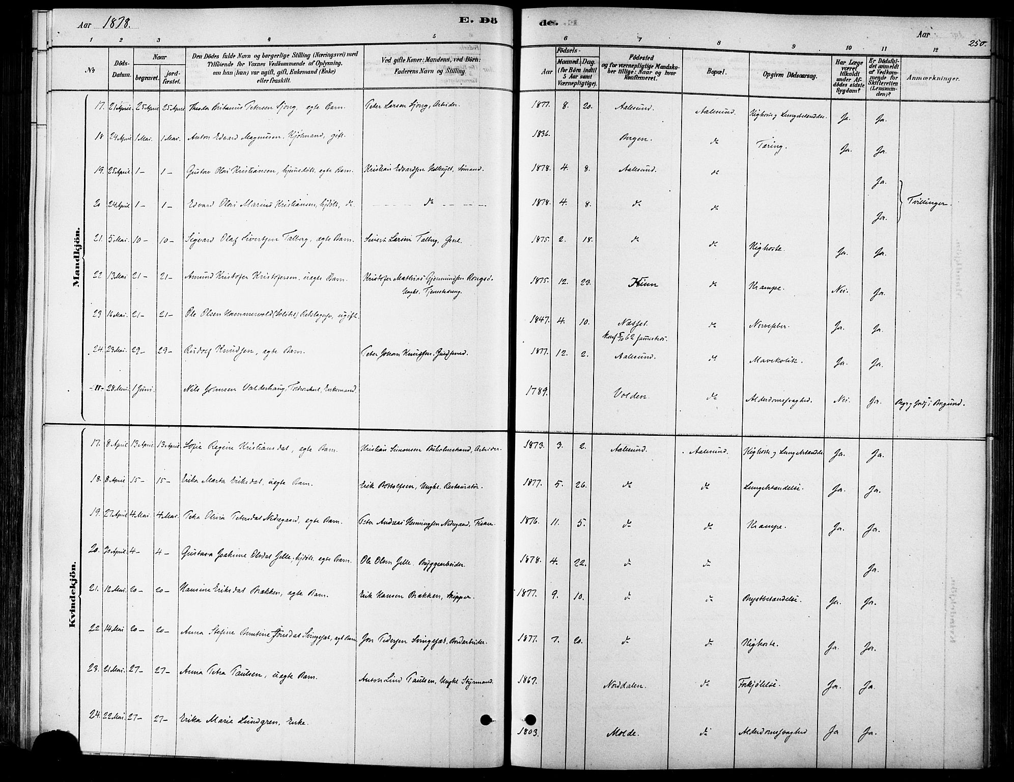 Ministerialprotokoller, klokkerbøker og fødselsregistre - Møre og Romsdal, AV/SAT-A-1454/529/L0454: Parish register (official) no. 529A04, 1878-1885, p. 250