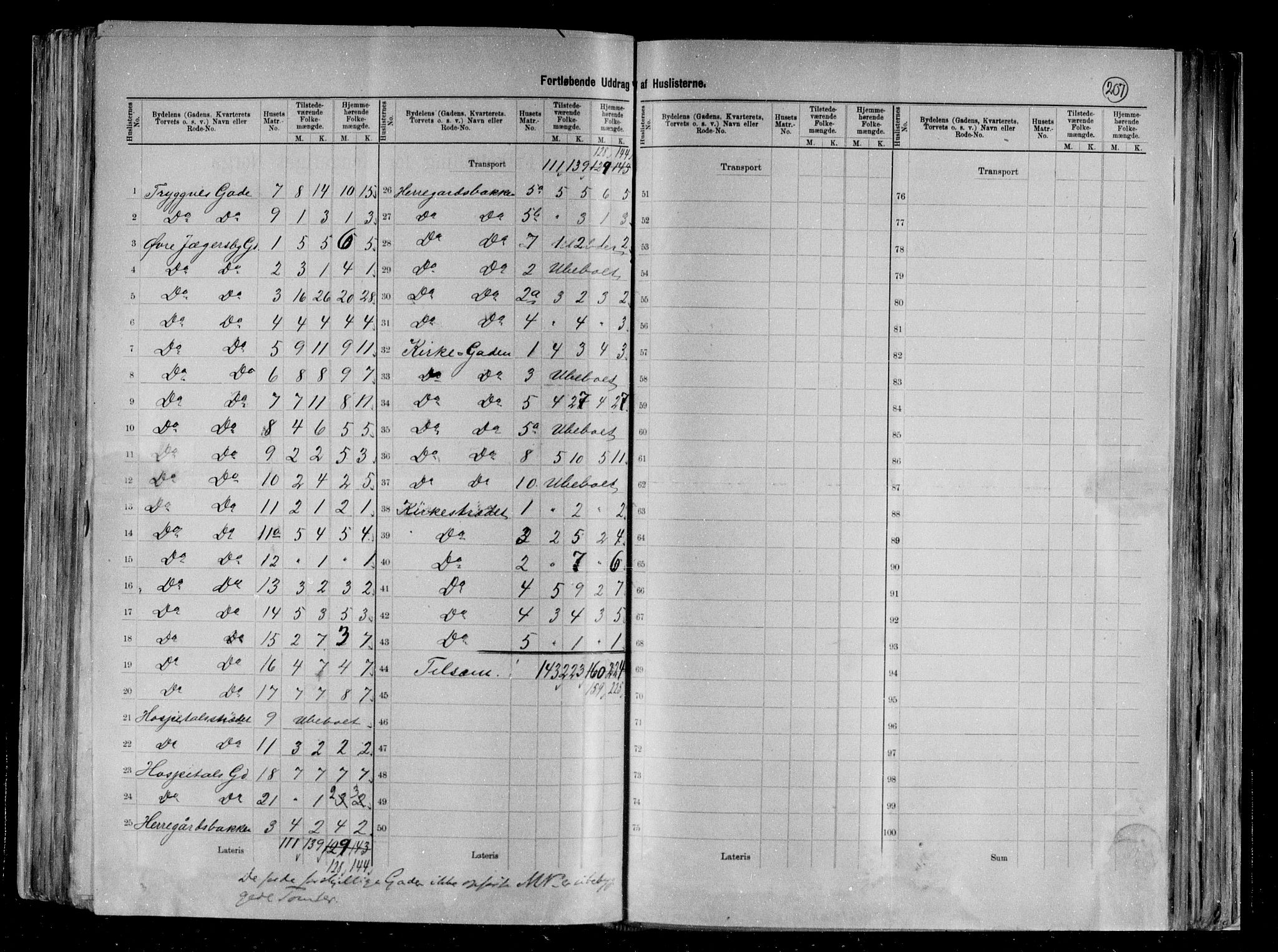 RA, 1891 census for 0707 Larvik, 1891, p. 33