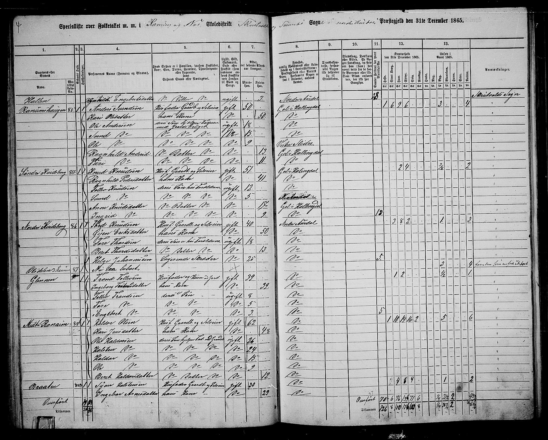 RA, 1865 census for Nord-Aurdal, 1865, p. 65