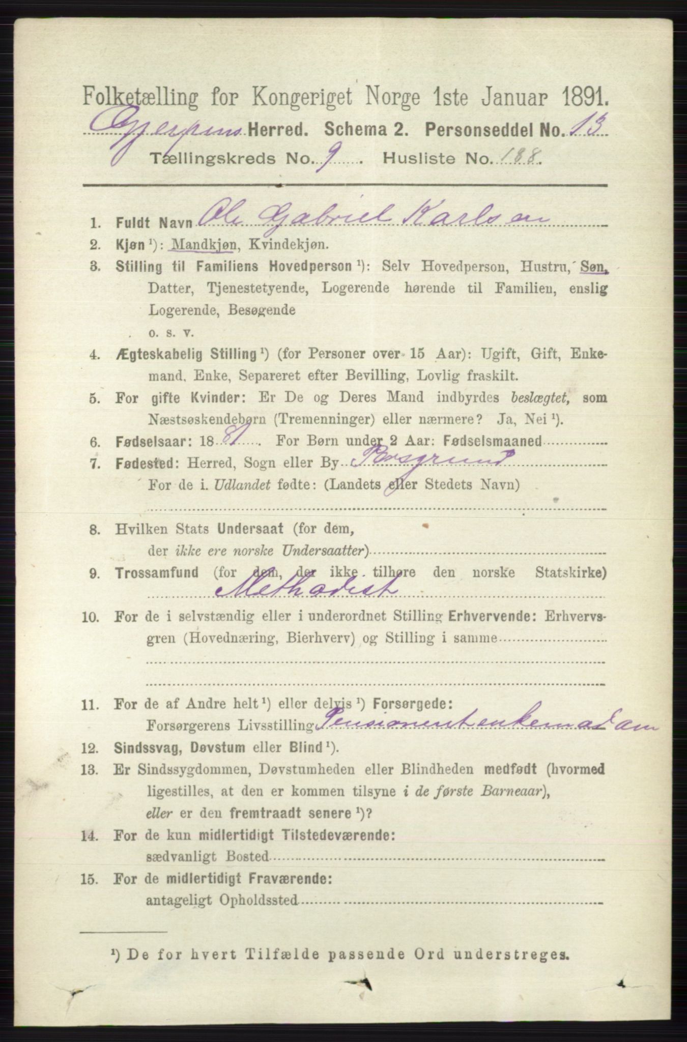 RA, 1891 census for 0812 Gjerpen, 1891, p. 6063