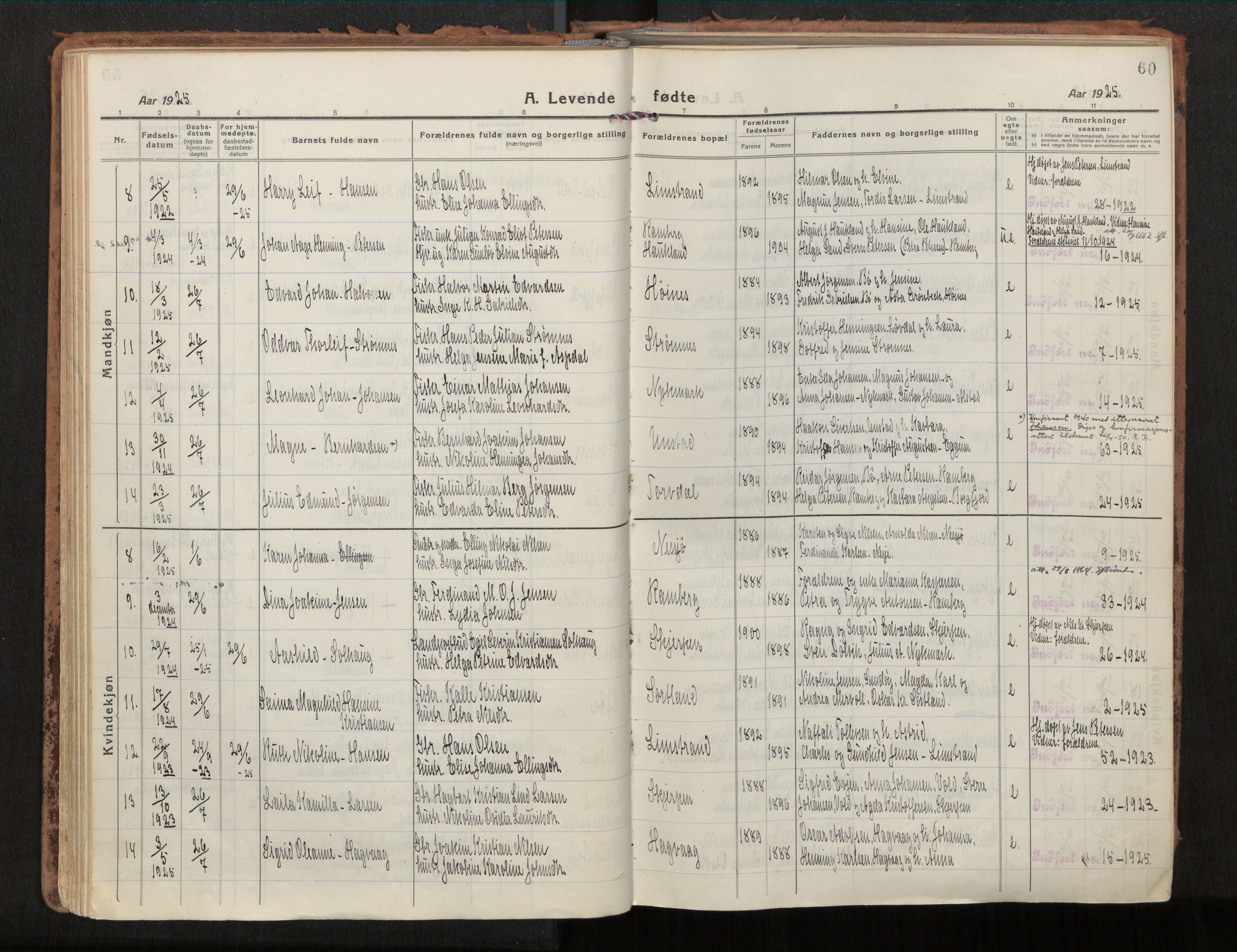 Ministerialprotokoller, klokkerbøker og fødselsregistre - Nordland, AV/SAT-A-1459/880/L1136: Parish register (official) no. 880A10, 1919-1927, p. 60