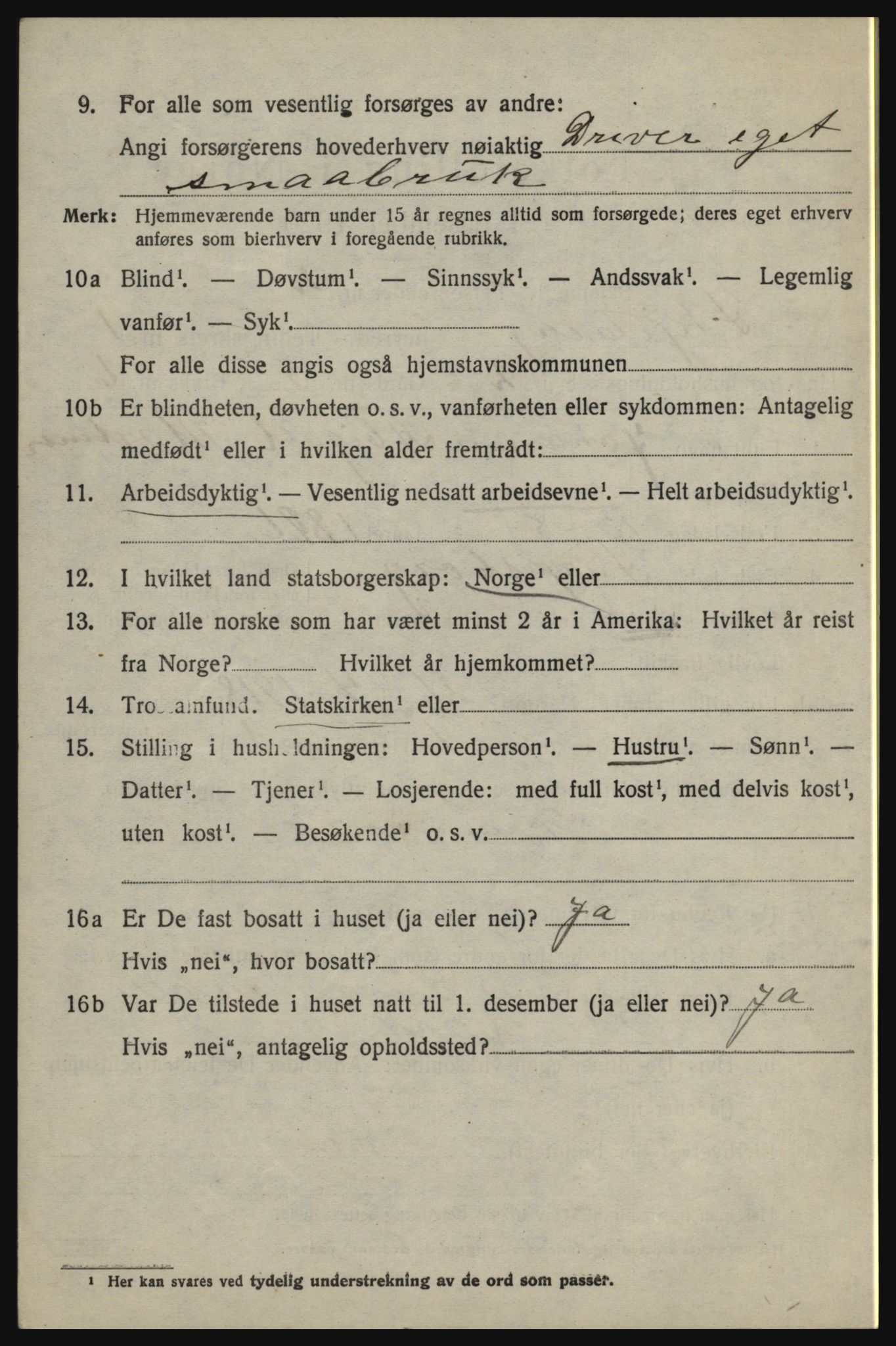 SAO, 1920 census for Skjeberg, 1920, p. 2374